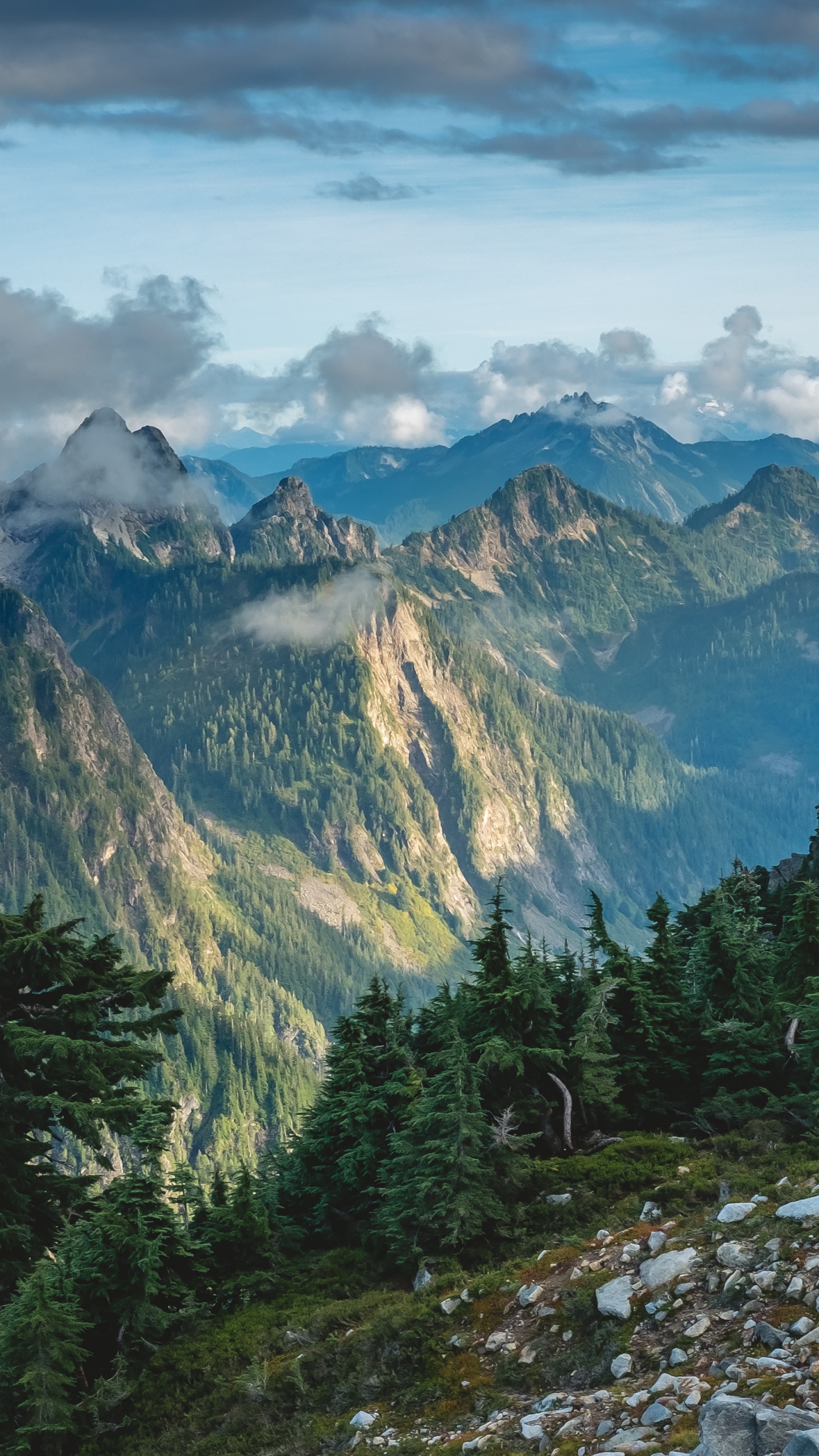 Обои Вашингтон, облако, растение, гора, природный ландшафт в разрешении 1440x2560