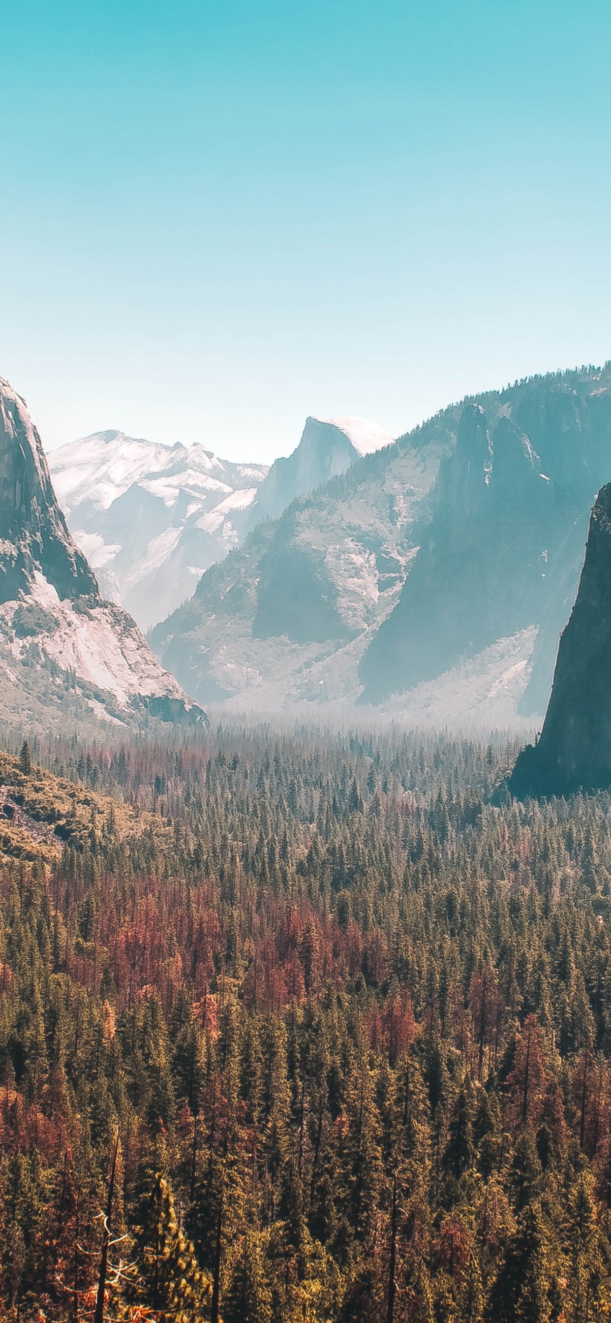 Обои Йосемитский водопад, йосемити, весенний водопад, Половина Купола, национальный парк секвойя в разрешении 1242x2688