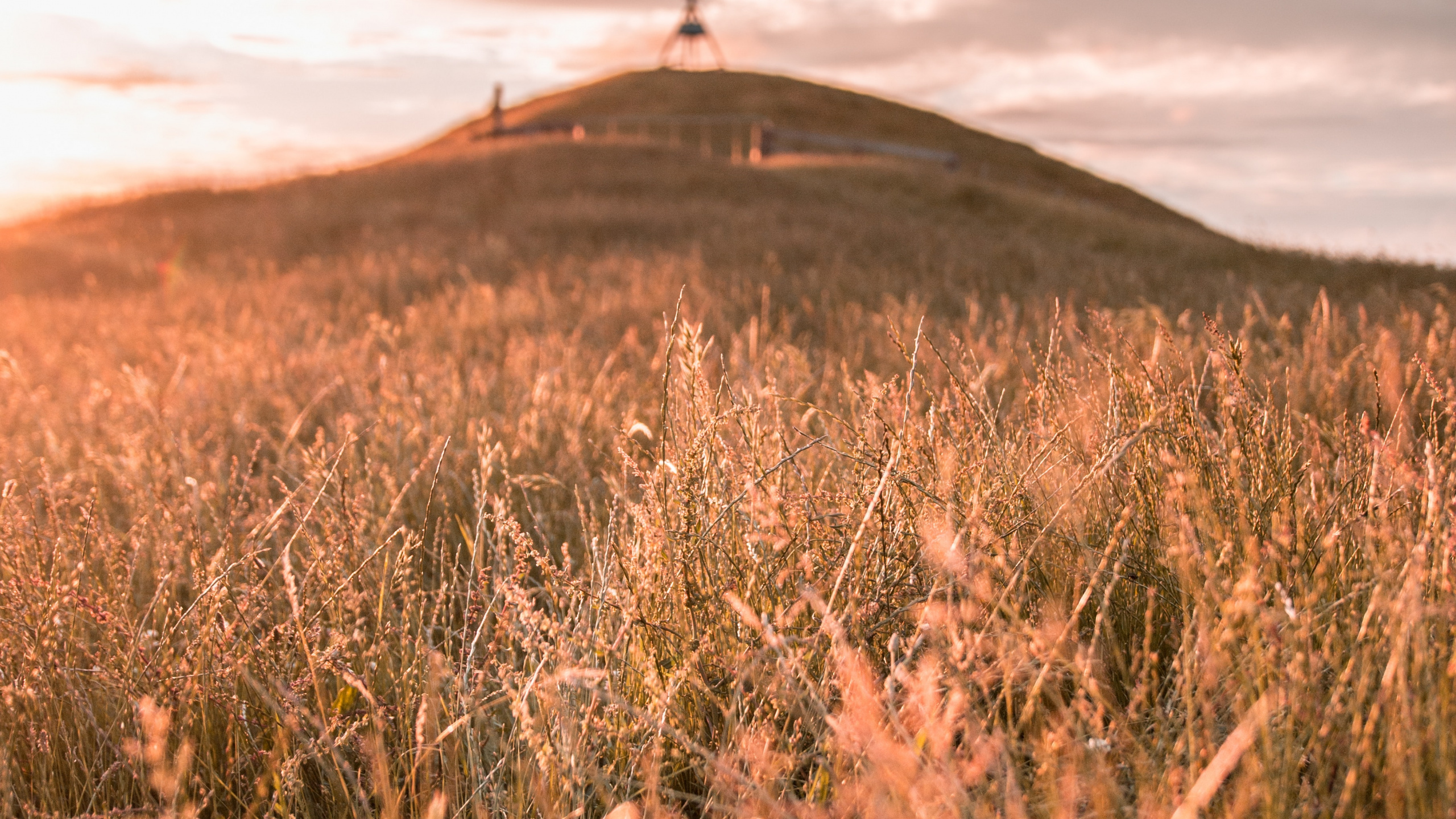 Обои природа, сенокосное угодье, золотой час, небо, влог в разрешении 2560x1440