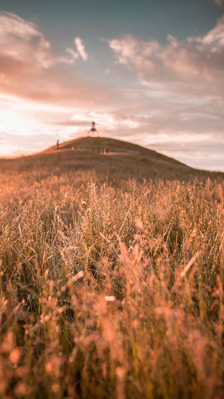 Обои природа, сенокосное угодье, золотой час, небо, влог в разрешении 720x1280