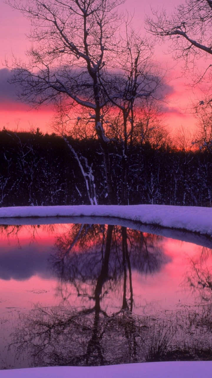 Обои снег, отражение, природа, зима, вода в разрешении 720x1280