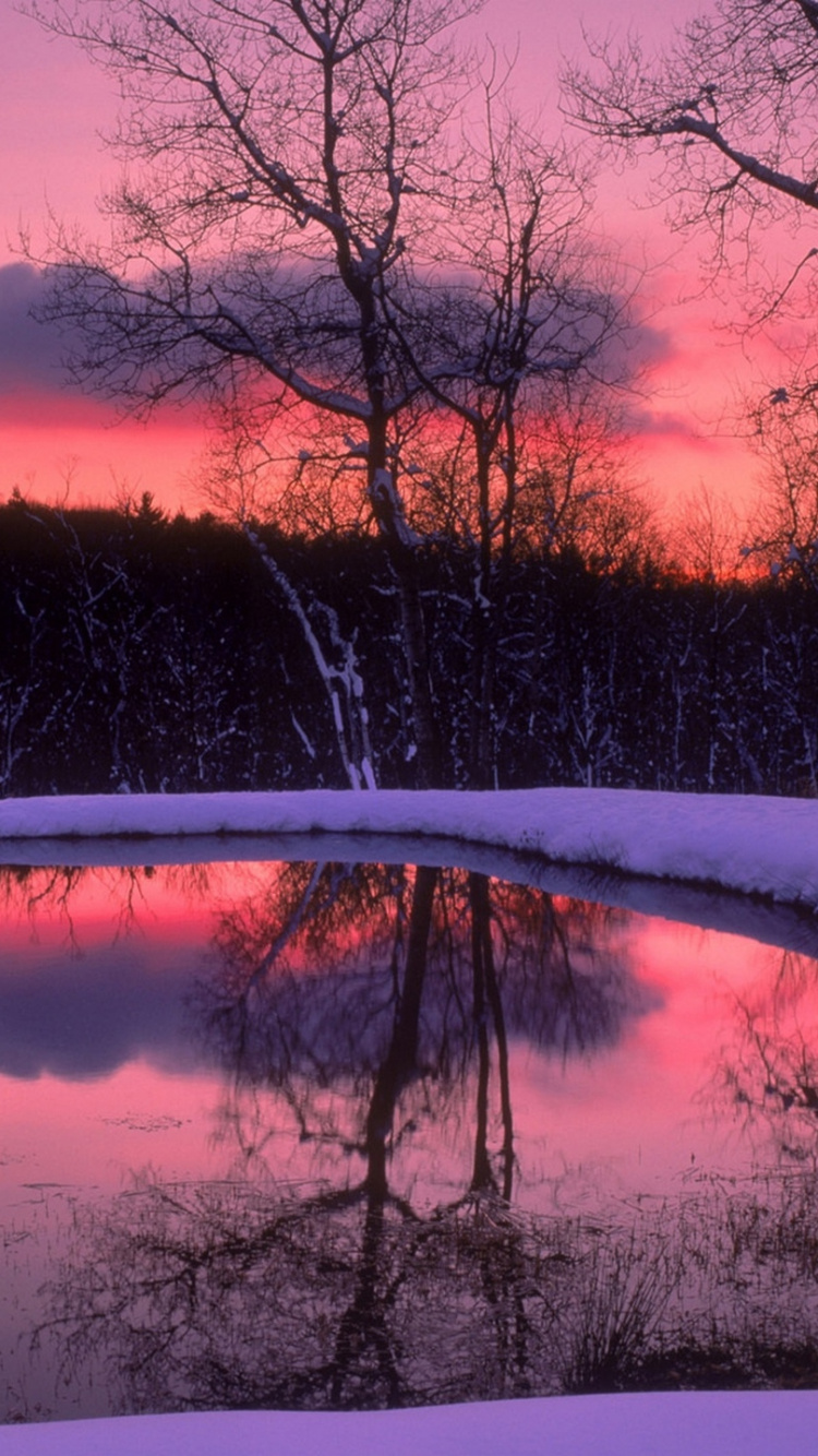 Обои снег, отражение, природа, зима, вода в разрешении 750x1334