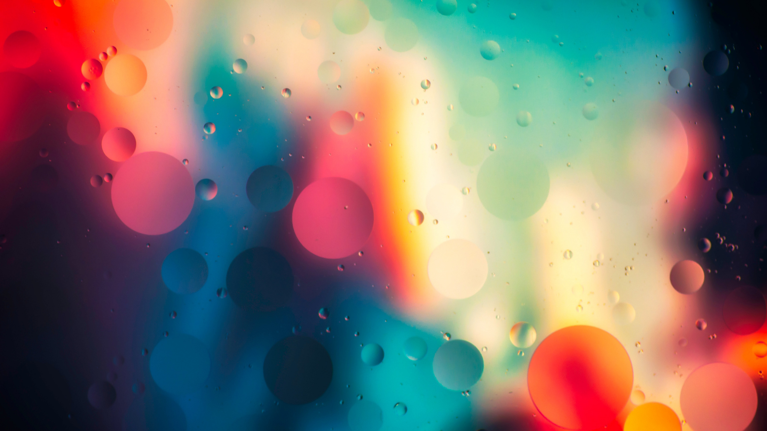 Обои свет, красочность, атмосфера, жидкий, вода в разрешении 2560x1440