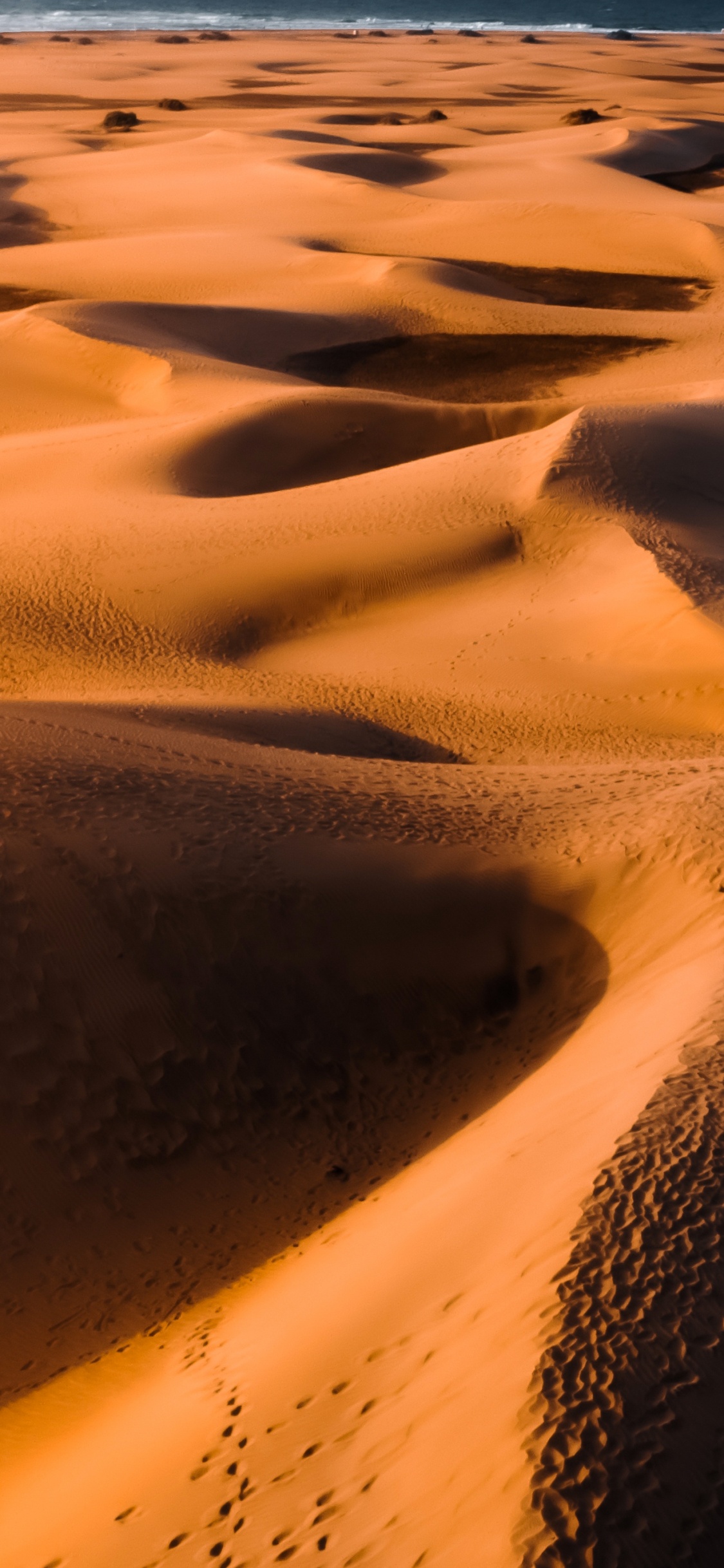 Обои эрг, поющий песок, коричневый цвет, экорегион, свет в разрешении 1125x2436