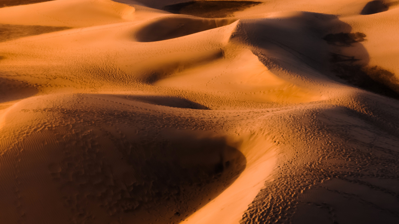 Обои эрг, поющий песок, коричневый цвет, экорегион, свет в разрешении 1280x720