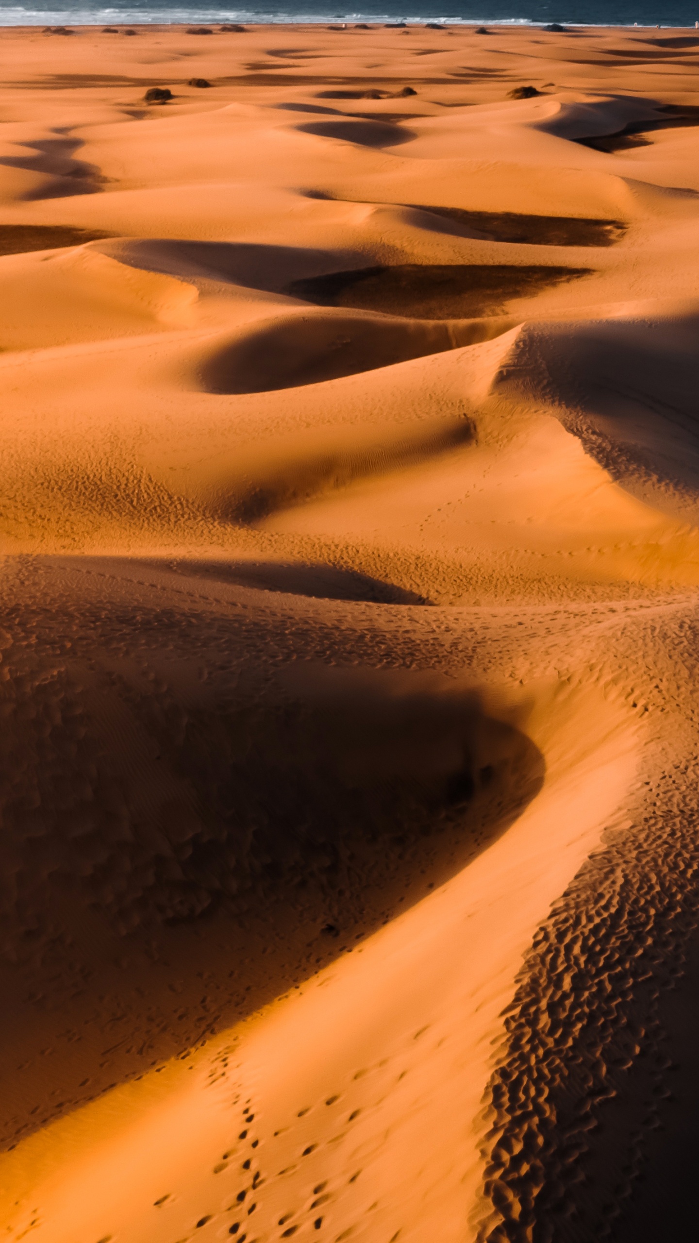 Обои эрг, поющий песок, коричневый цвет, экорегион, свет в разрешении 1440x2560
