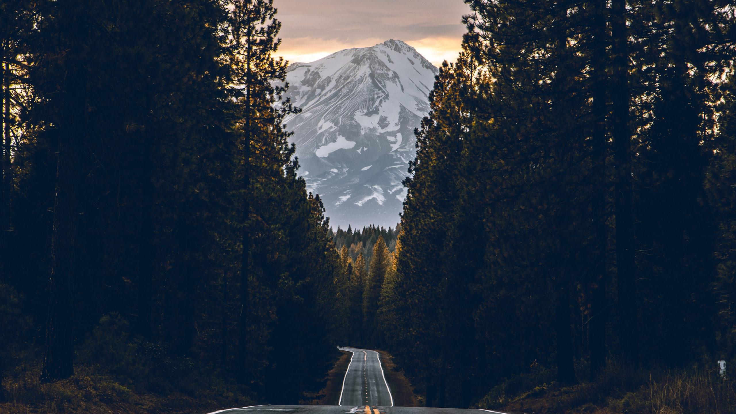 Обои дорога, магистраль, асфальт, дерево, дорожное покрытие в разрешении 2560x1440