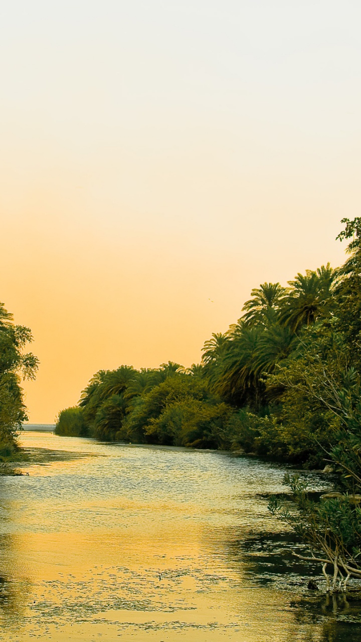 Обои природа, реки, вода, растительность, водный путь в разрешении 720x1280