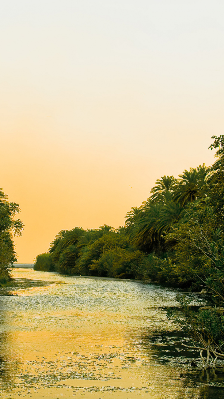 Обои природа, реки, вода, растительность, водный путь в разрешении 750x1334