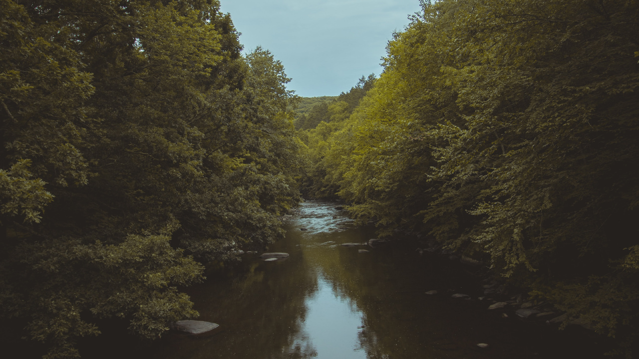 Обои дерево, небо, вечер, природный ландшафт, водный путь в разрешении 1280x720