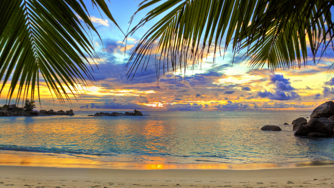 Обои пляж, тропическая зона, закат, океан, горизонт в разрешении 1280x720