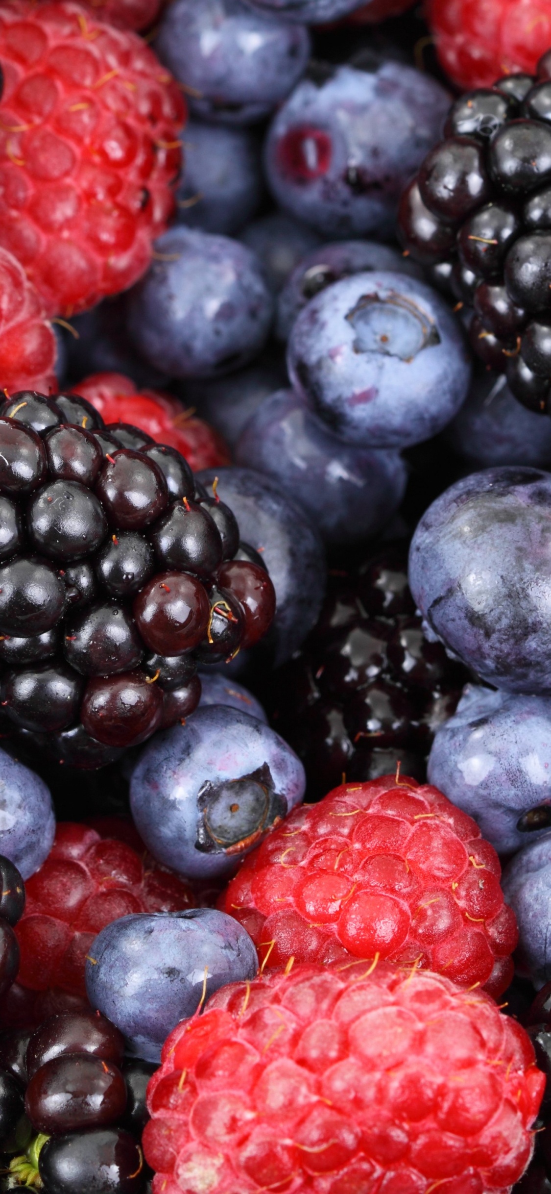 Обои ягоды, Blackberry, фрукты, природные продукты, пища в разрешении 1125x2436
