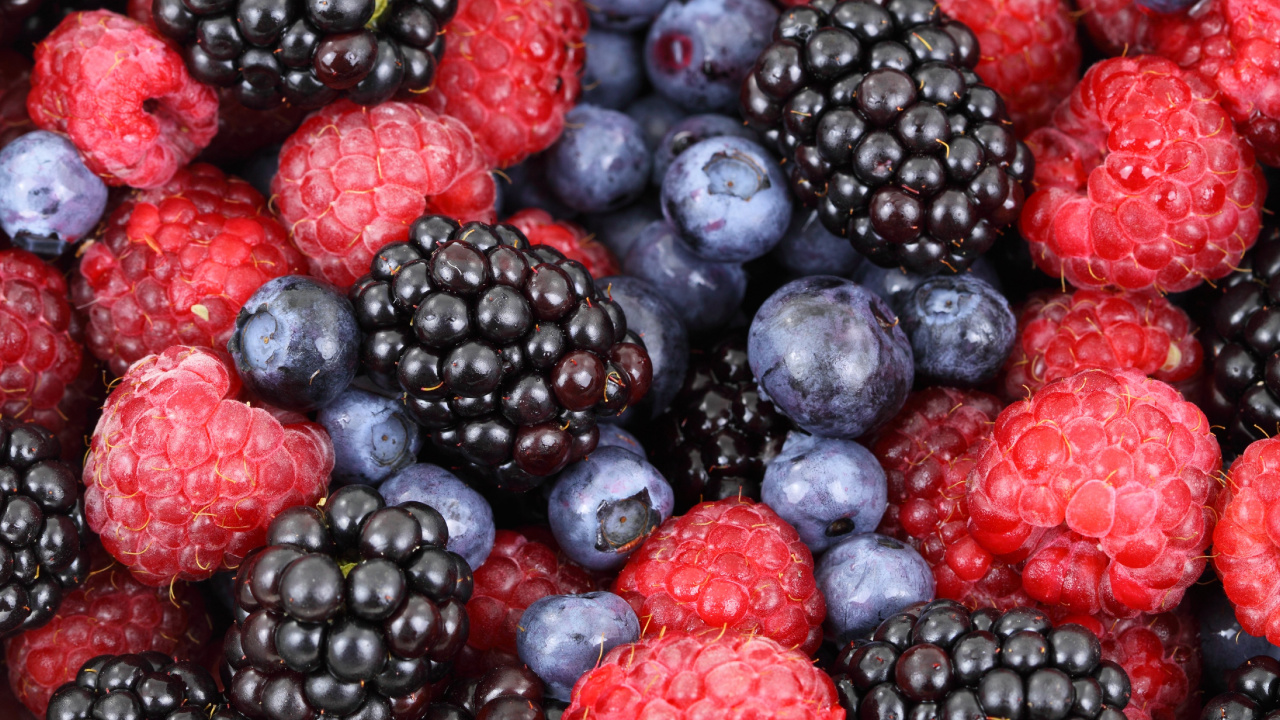Обои ягоды, Blackberry, фрукты, природные продукты, пища в разрешении 1280x720