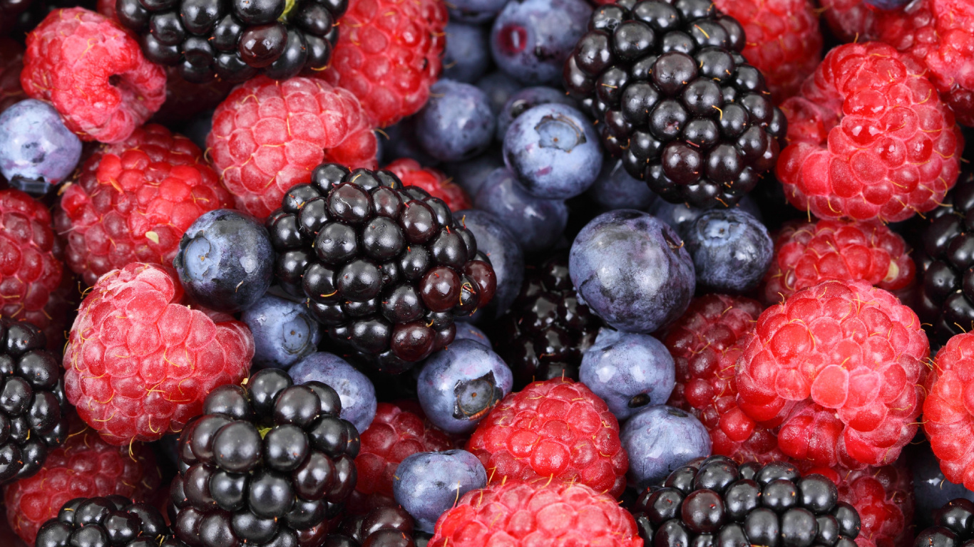 Обои ягоды, Blackberry, фрукты, природные продукты, пища в разрешении 1366x768