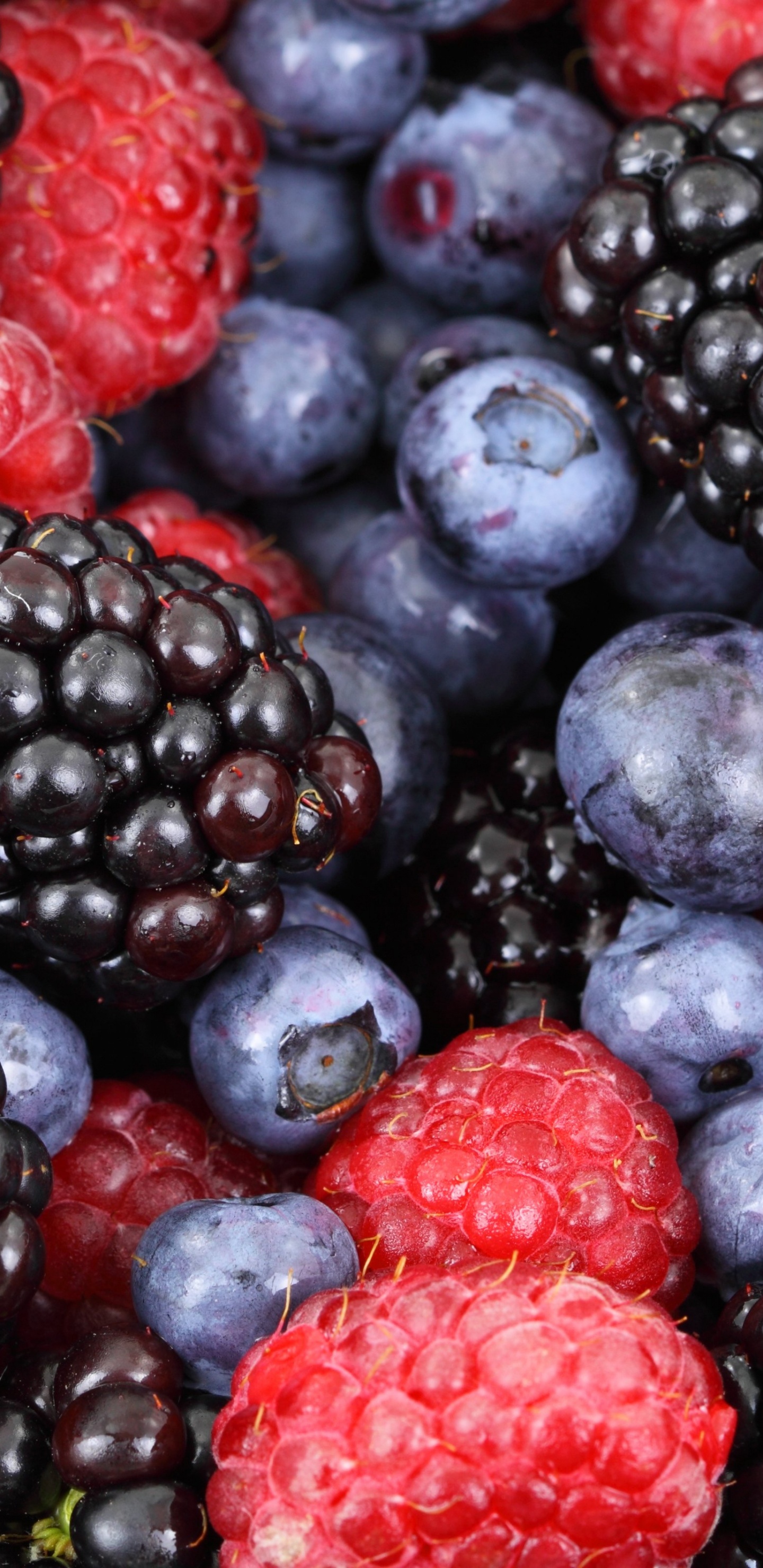 Обои ягоды, Blackberry, фрукты, природные продукты, пища в разрешении 1440x2960