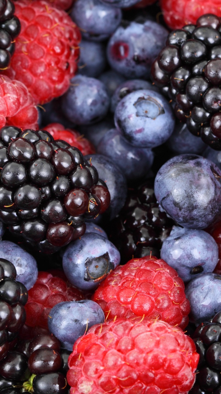 Обои ягоды, Blackberry, фрукты, природные продукты, пища в разрешении 720x1280