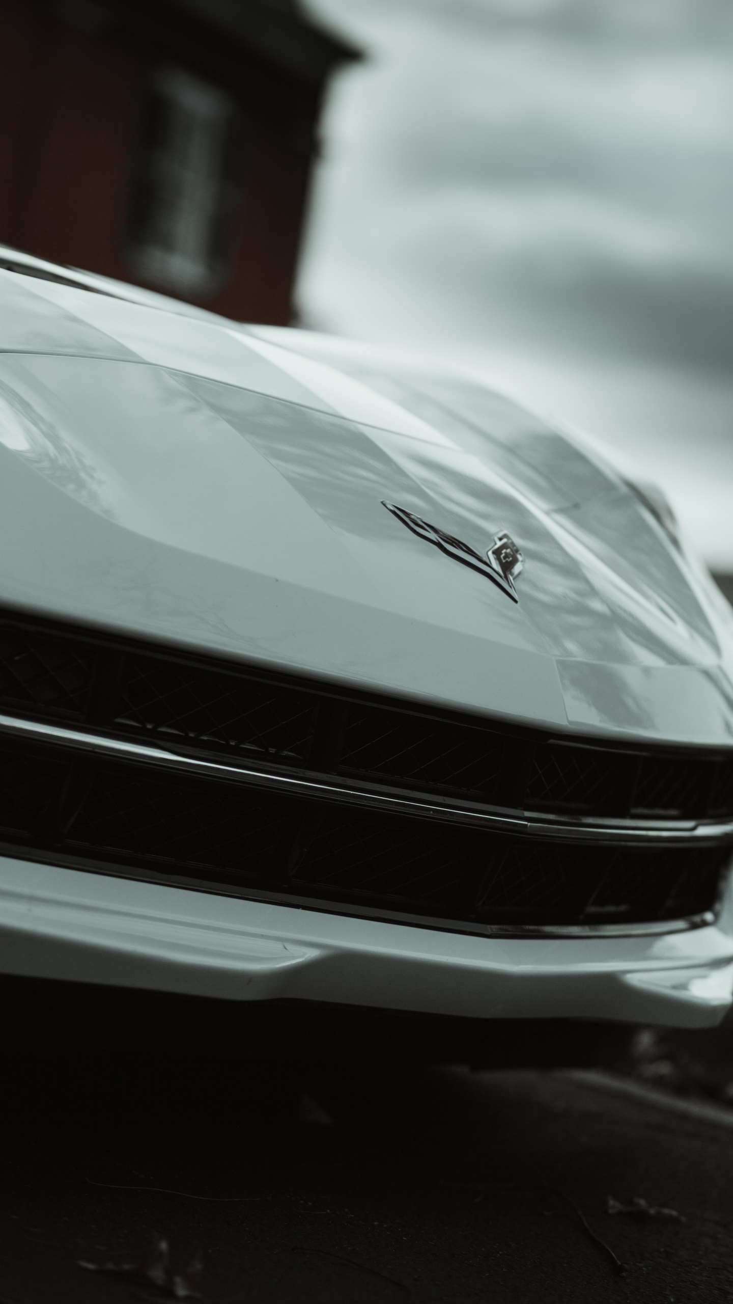 Обои автомобильный экстерьер, Король, спорткар, обод, автомобильное освещение в разрешении 1440x2560