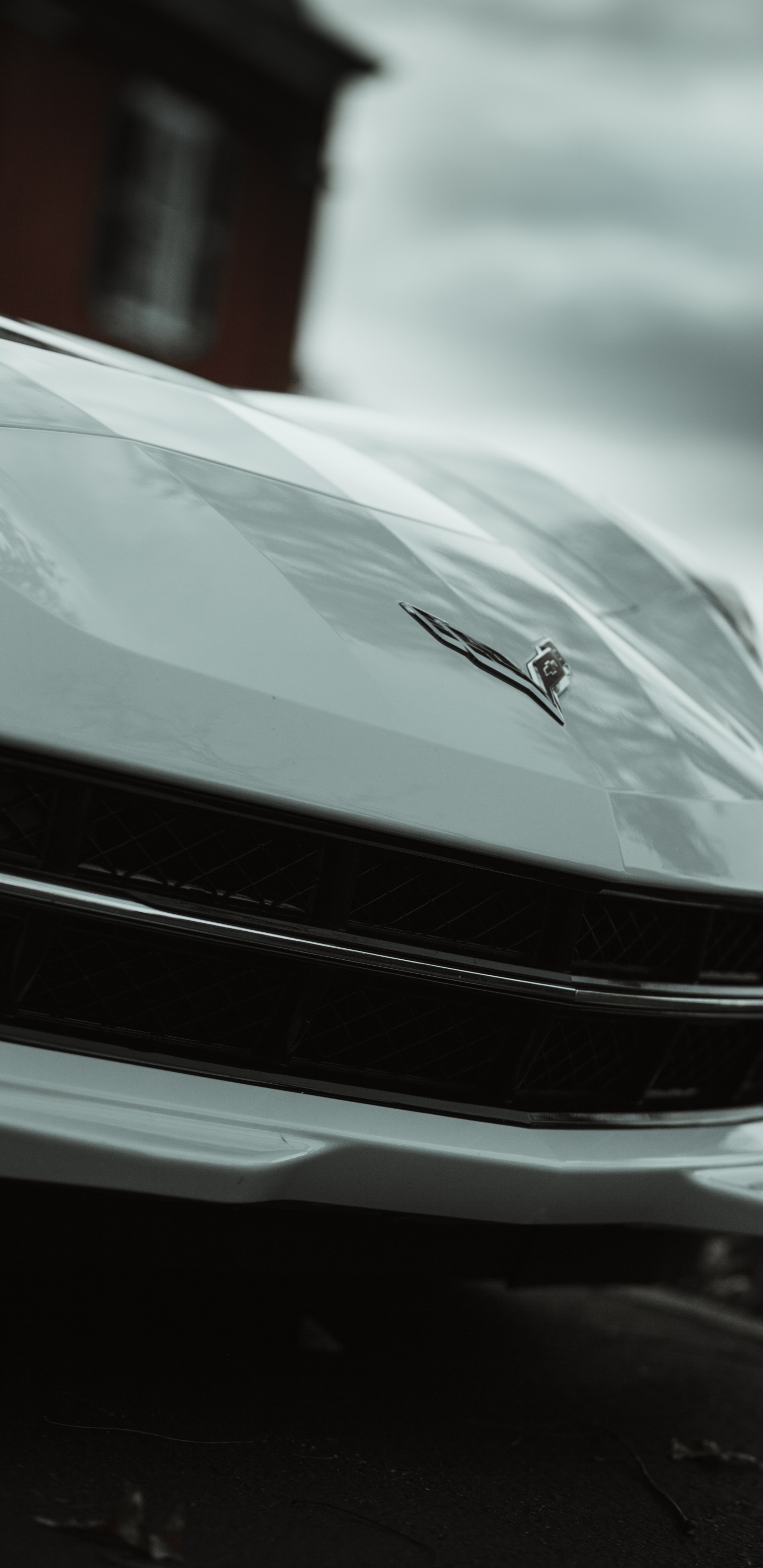 Обои автомобильный экстерьер, Король, спорткар, обод, автомобильное освещение в разрешении 1440x2960