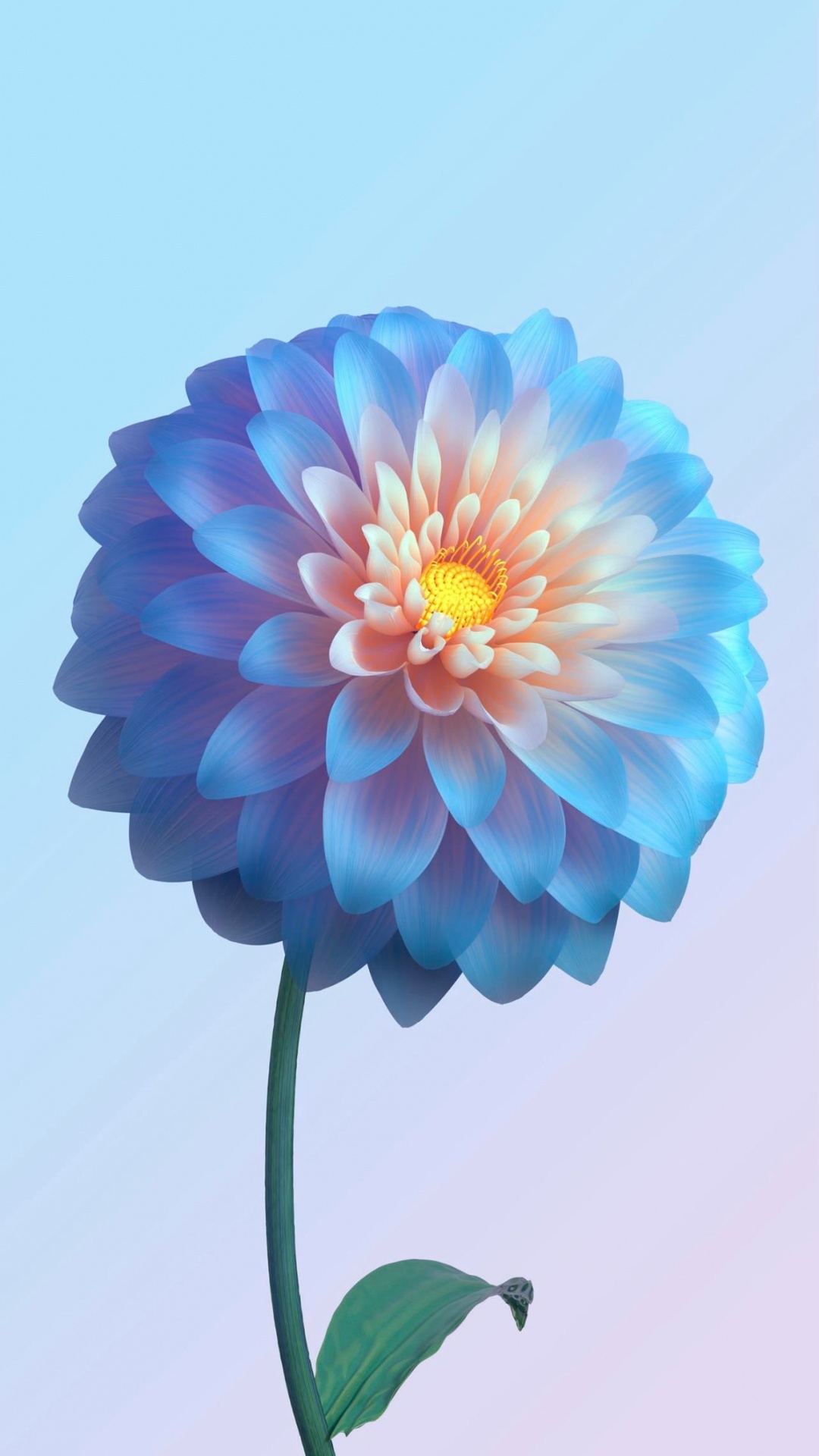 Обои цветок, Жив, Vivo, яблоко, растение в разрешении 1080x1920