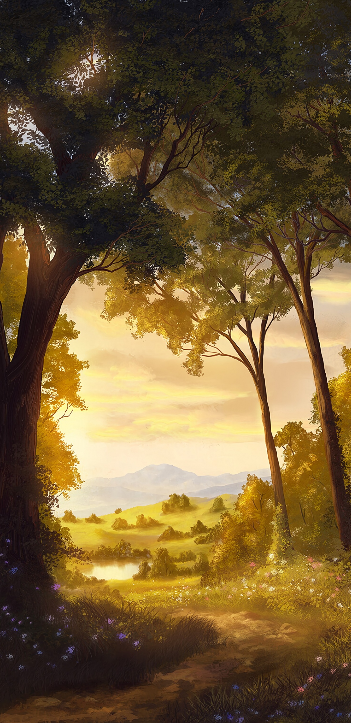Обои природный ландшафт, природа, дерево, живопись, солнечный свет в разрешении 1440x2960