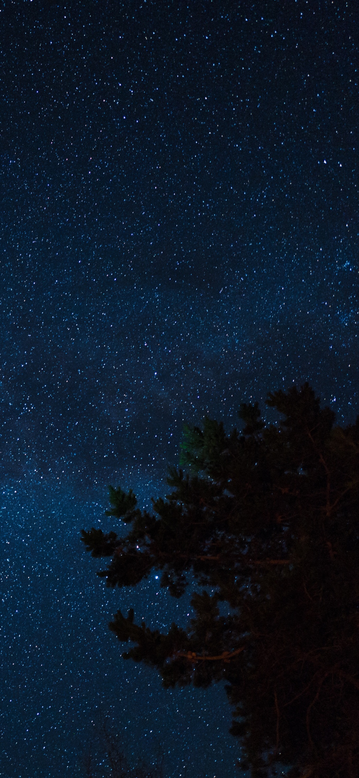 Обои звезда, ночь, ночное небо, синий, атмосфера в разрешении 1242x2688