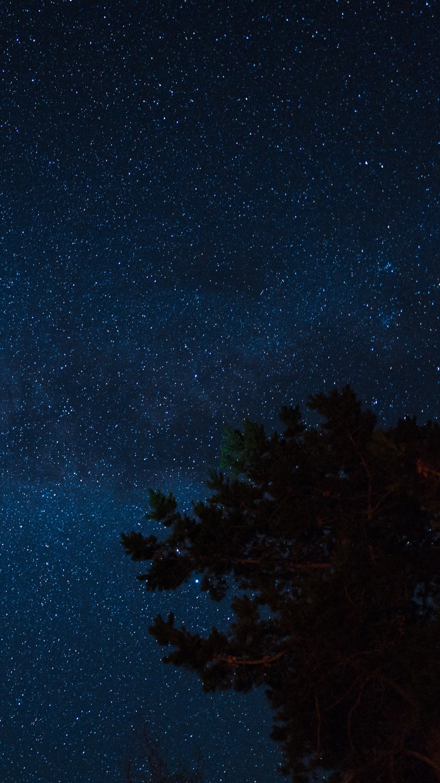 Обои звезда, ночь, ночное небо, синий, атмосфера в разрешении 1440x2560