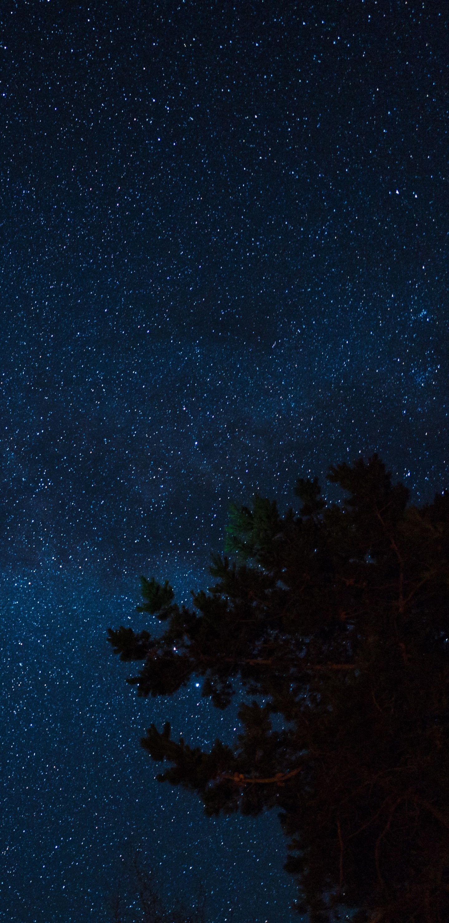 Обои звезда, ночь, ночное небо, синий, атмосфера в разрешении 1440x2960