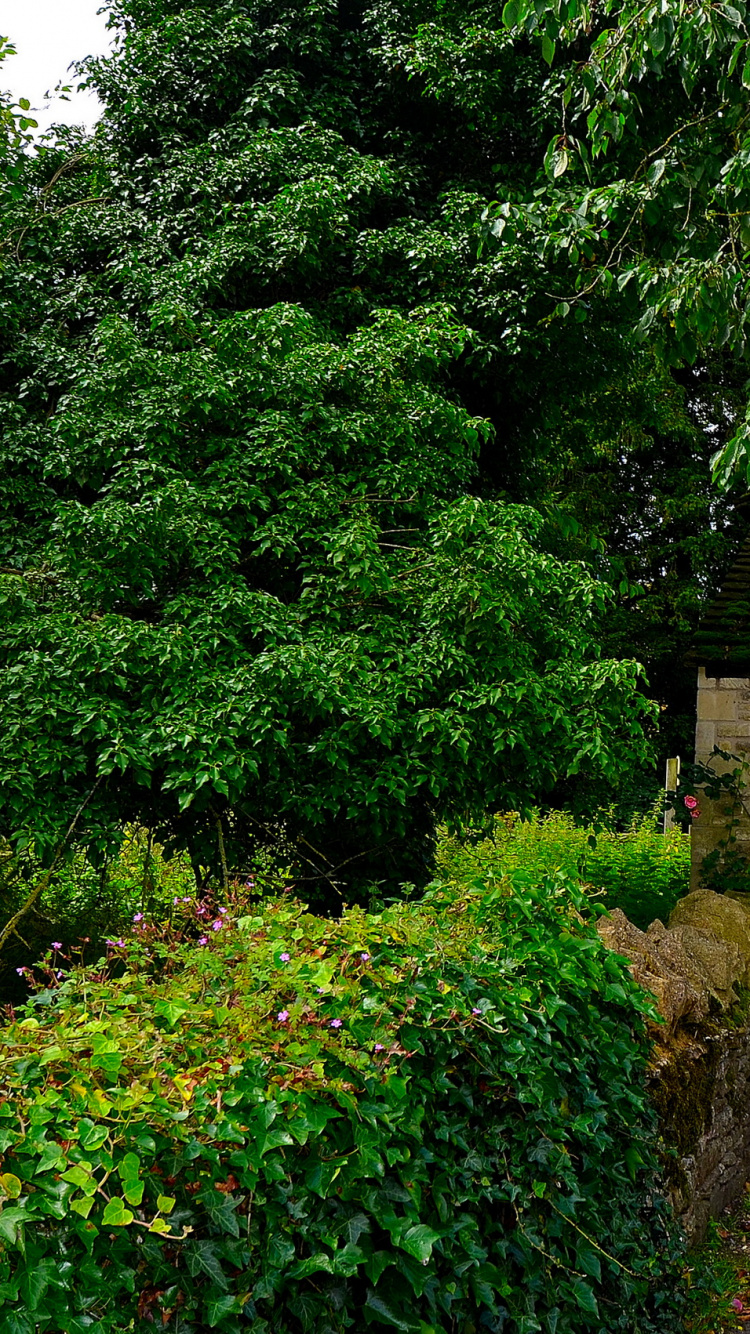 Обои бибери, коттедж, город, Хаус, растительность в разрешении 750x1334