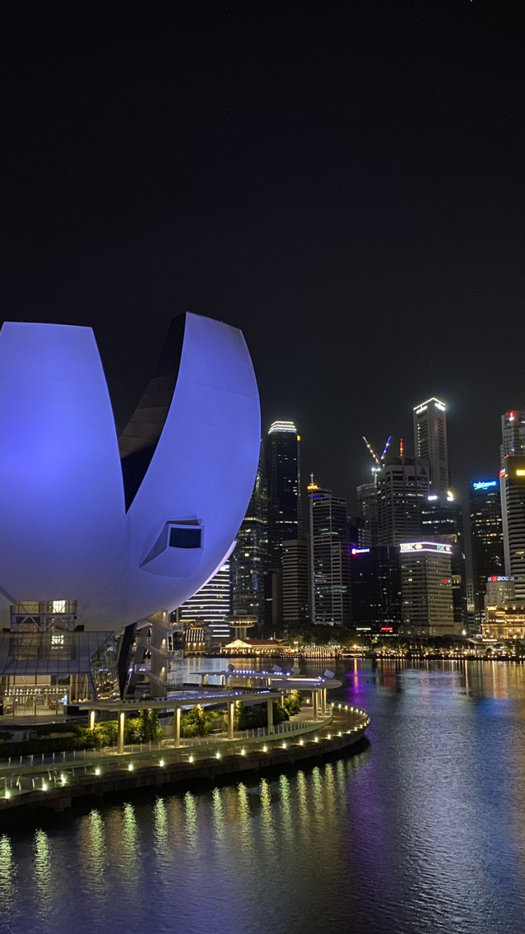 Обои Сингапур, отражение, небоскреб, вода, ночь в разрешении 750x1334