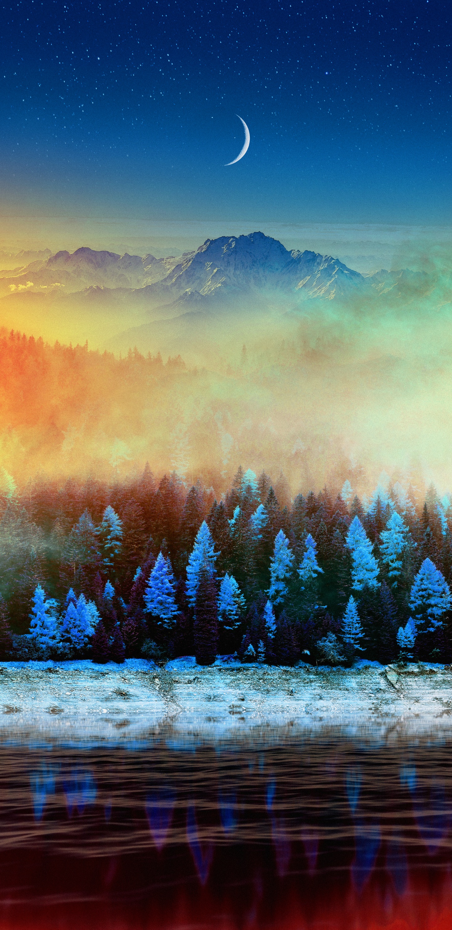 Обои осенний восход, осень, зима, природа, дерево в разрешении 1440x2960