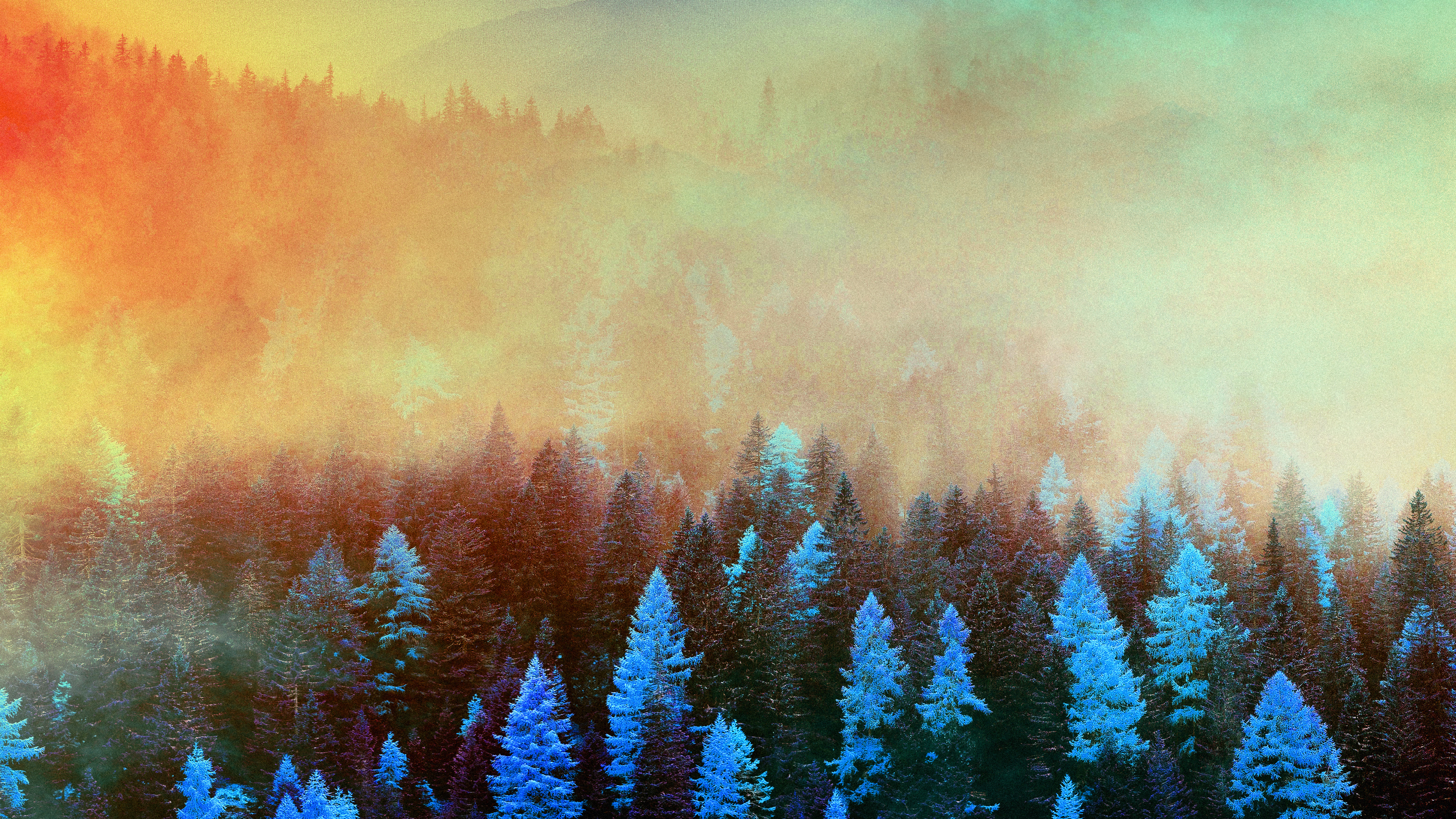 Обои осенний восход, осень, зима, природа, дерево в разрешении 3840x2160