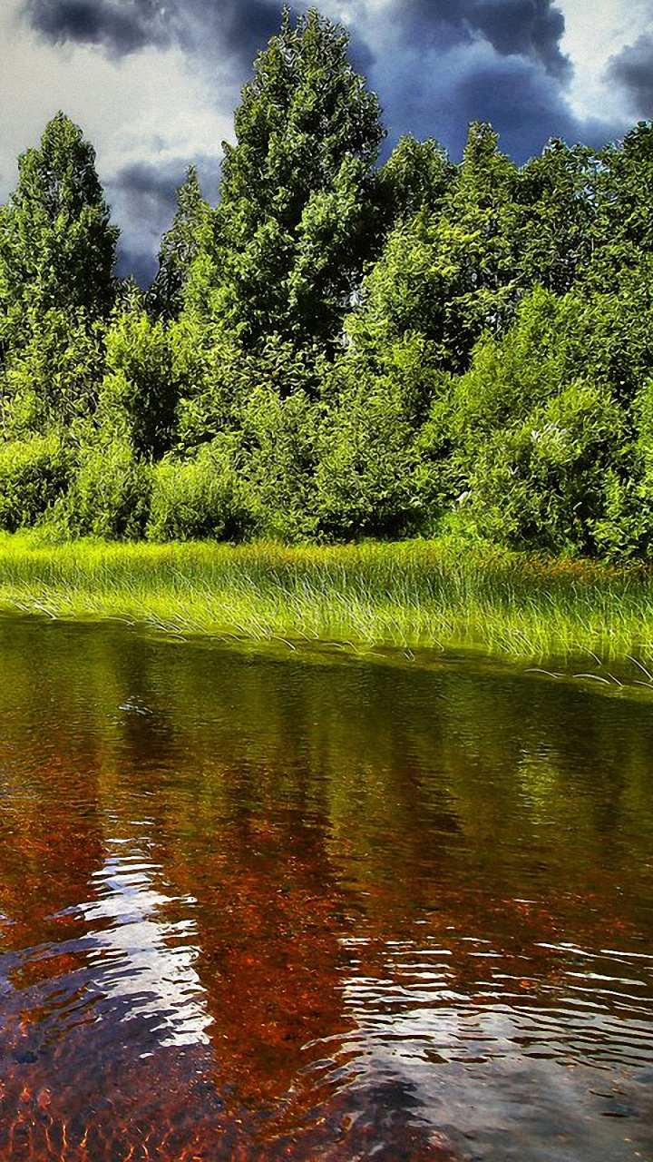 Обои отражение, природа, водоем, вода, реки в разрешении 720x1280