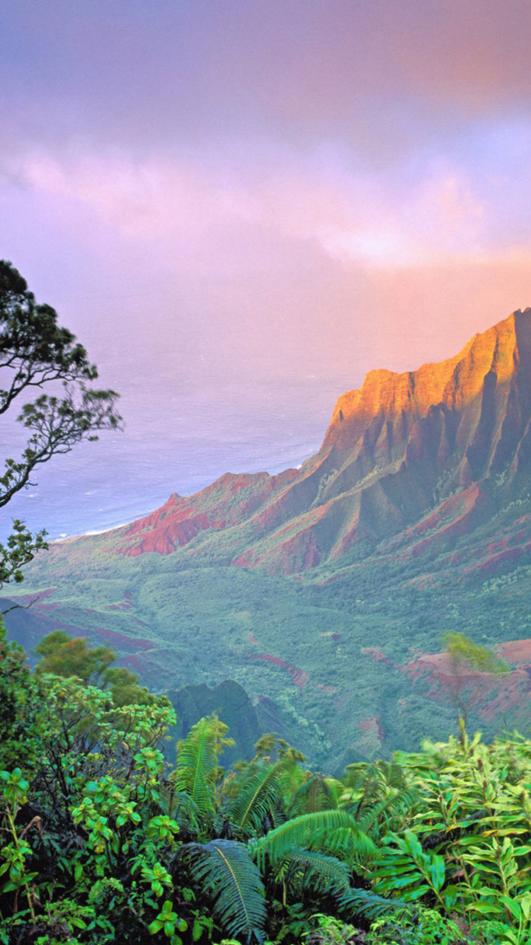 Обои природа, горный рельеф, гора, растительность, горная станция в разрешении 750x1334