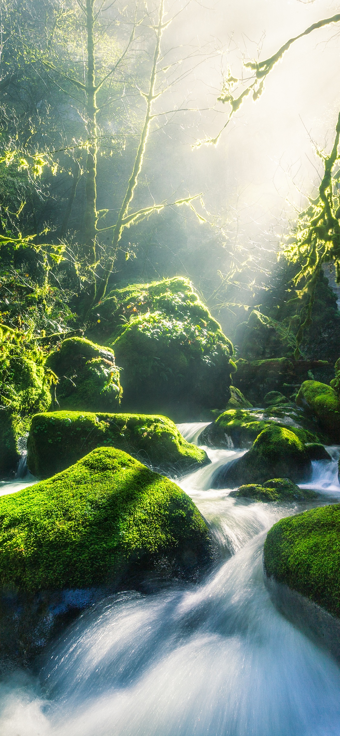 Обои зеленый, река Колумбия, вода, реки, поток в разрешении 1125x2436