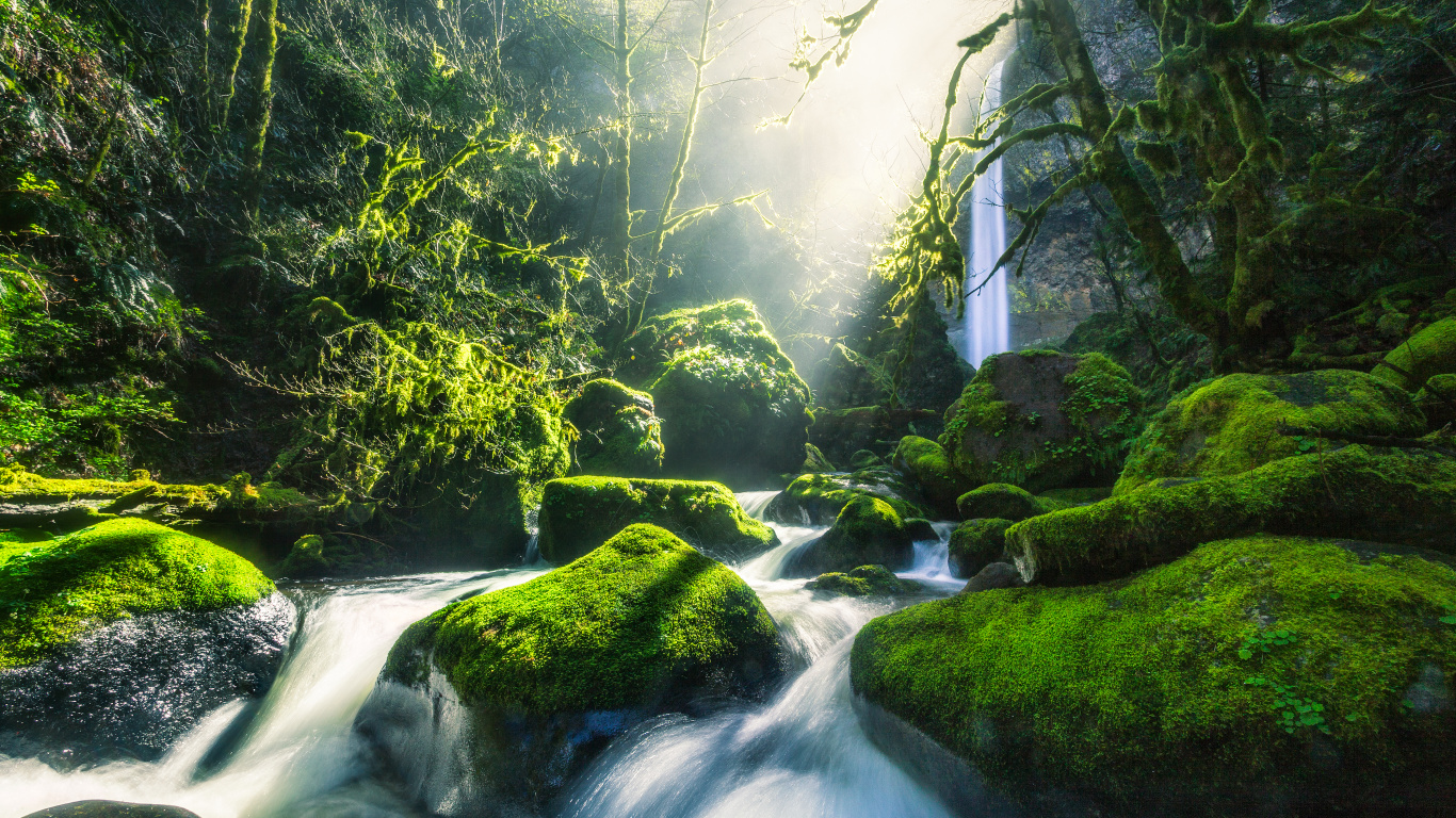 Обои зеленый, река Колумбия, вода, реки, поток в разрешении 1366x768