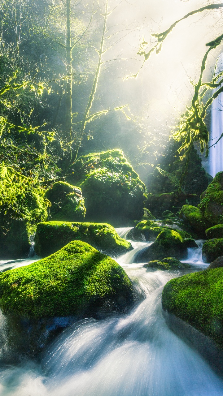 Обои зеленый, река Колумбия, вода, реки, поток в разрешении 720x1280