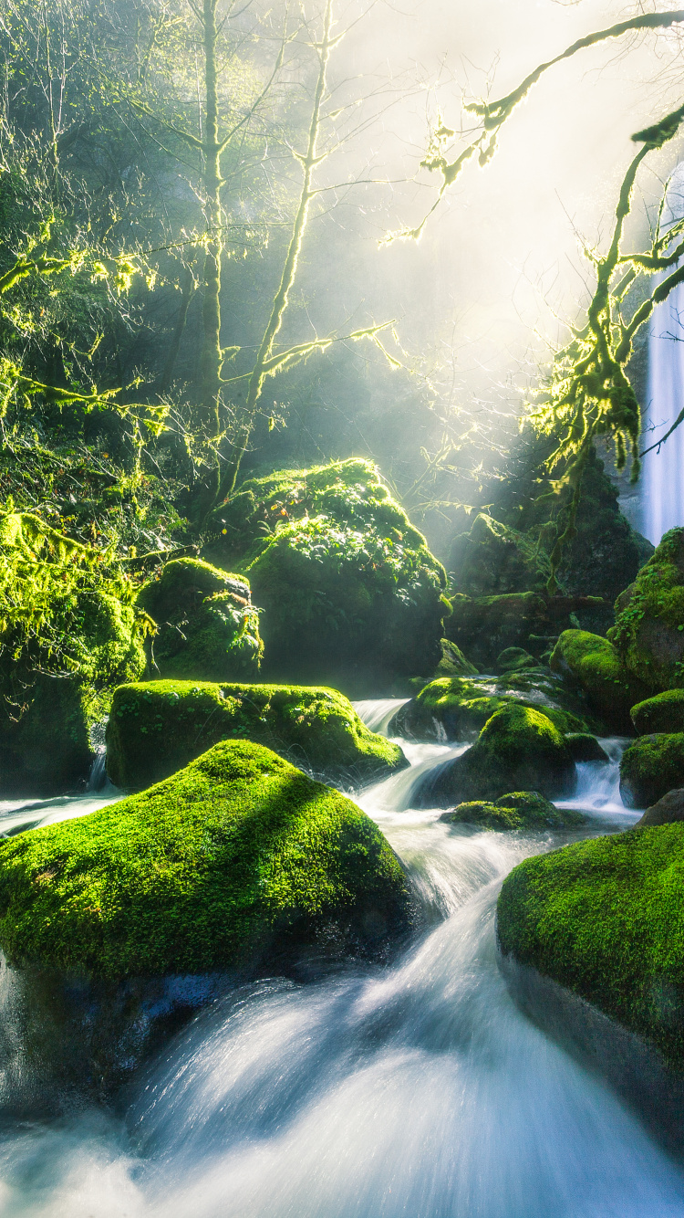 Обои зеленый, река Колумбия, вода, реки, поток в разрешении 750x1334