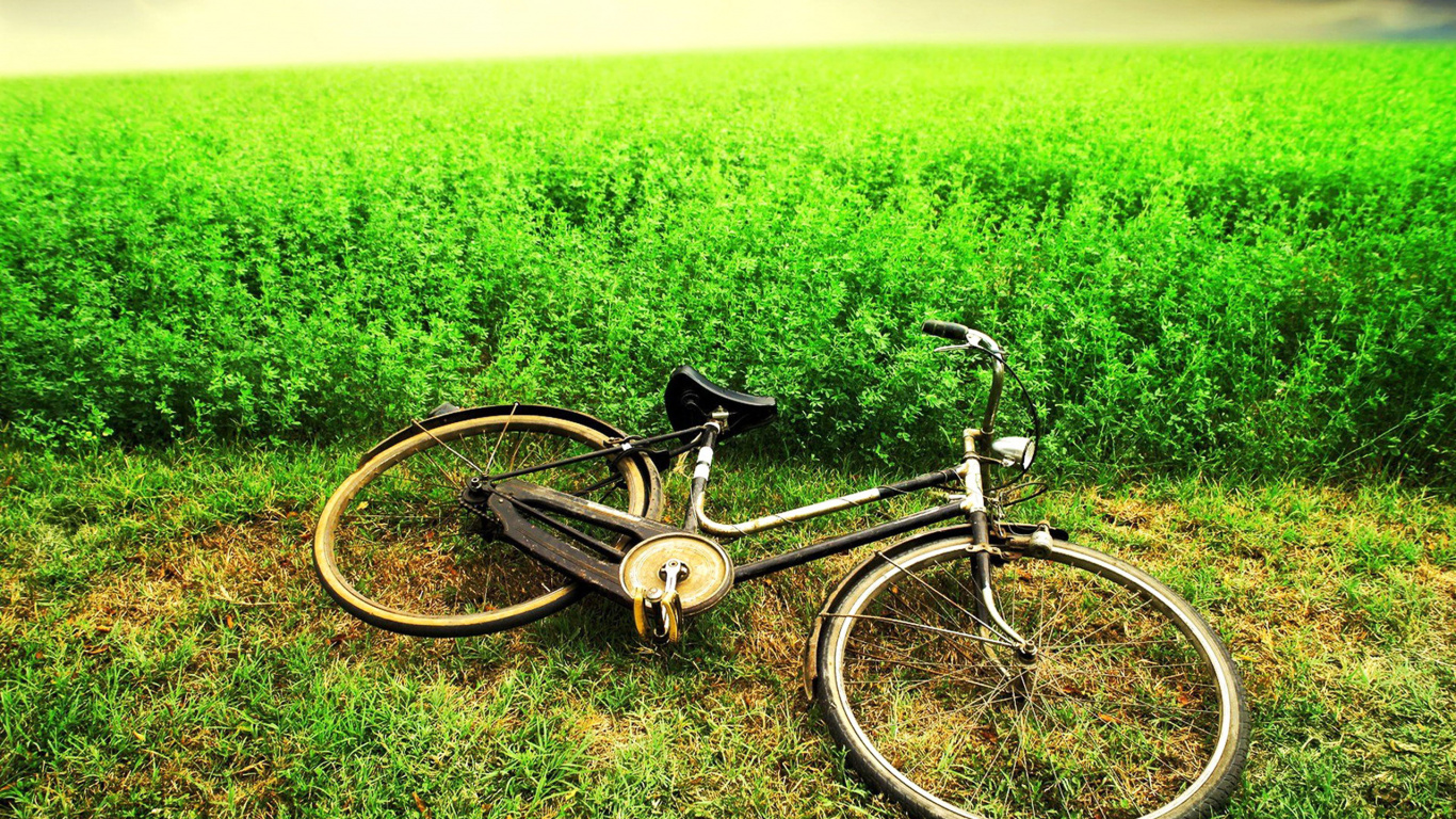 Обои велосипед, велосипедное колесо, зеленый, части велосипеда, велосипед аксессуар в разрешении 1366x768