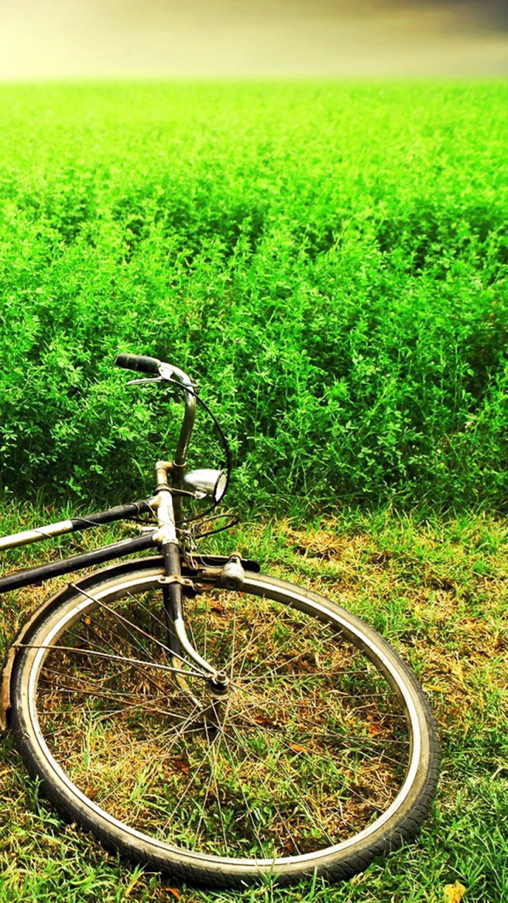 Обои велосипед, велосипедное колесо, зеленый, части велосипеда, велосипед аксессуар в разрешении 720x1280