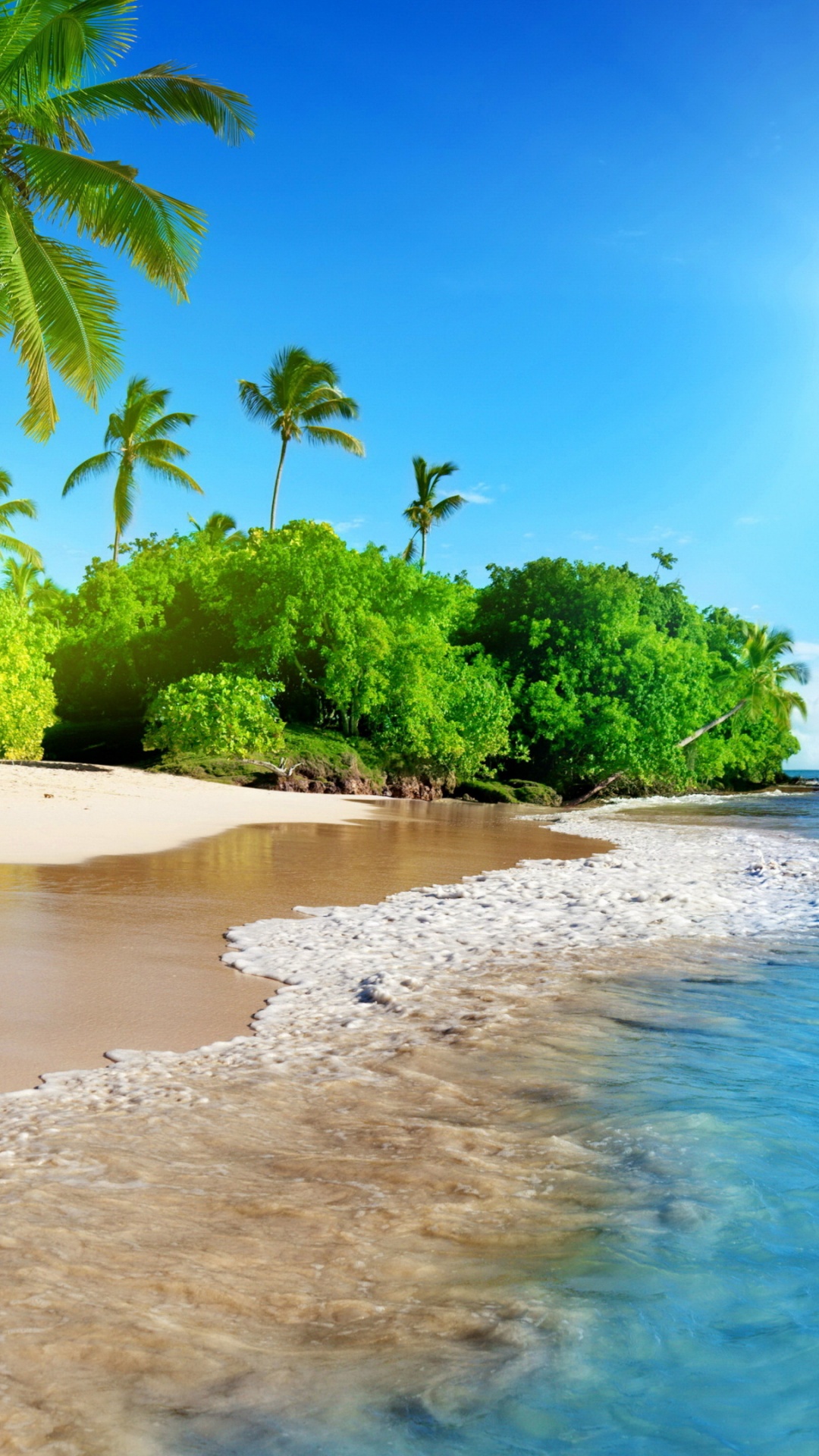 Обои пляж, гавайский пляж, вода, гидроресурсы, дневное время в разрешении 1080x1920