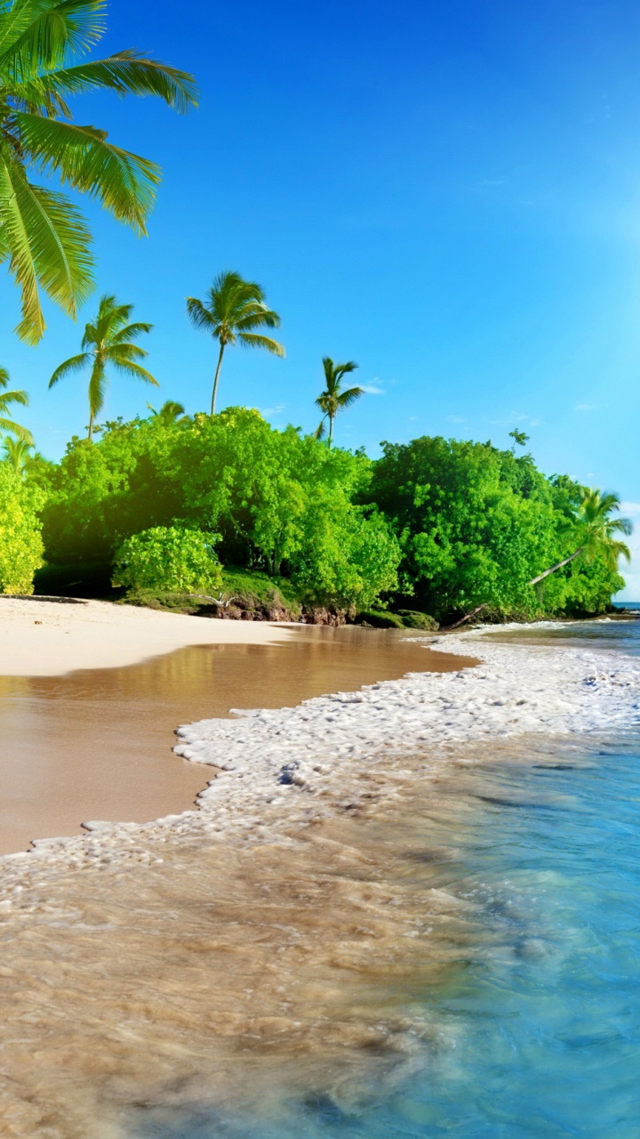 Обои пляж, гавайский пляж, вода, гидроресурсы, дневное время в разрешении 720x1280