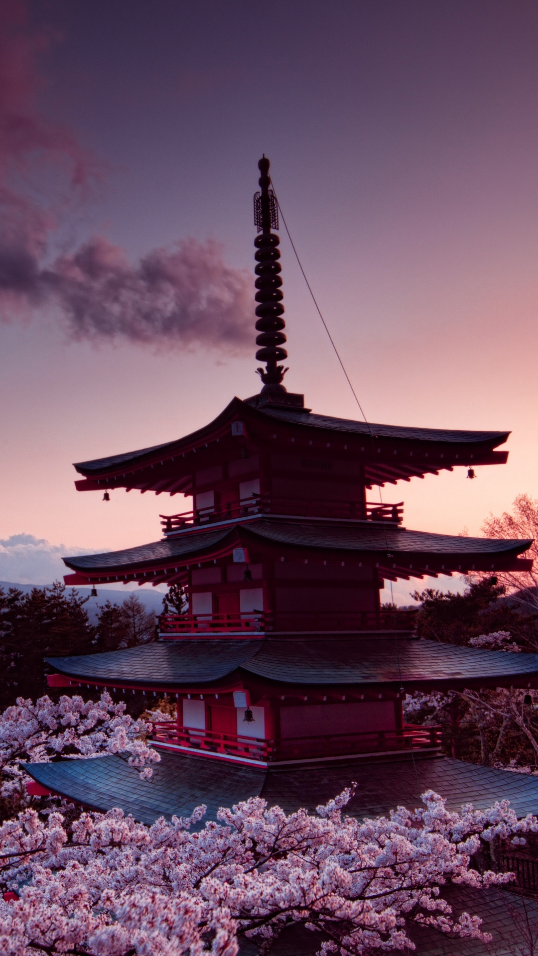 Обои гора Фудзи, вулкан, цветение вишни, цветок, облако в разрешении 1080x1920