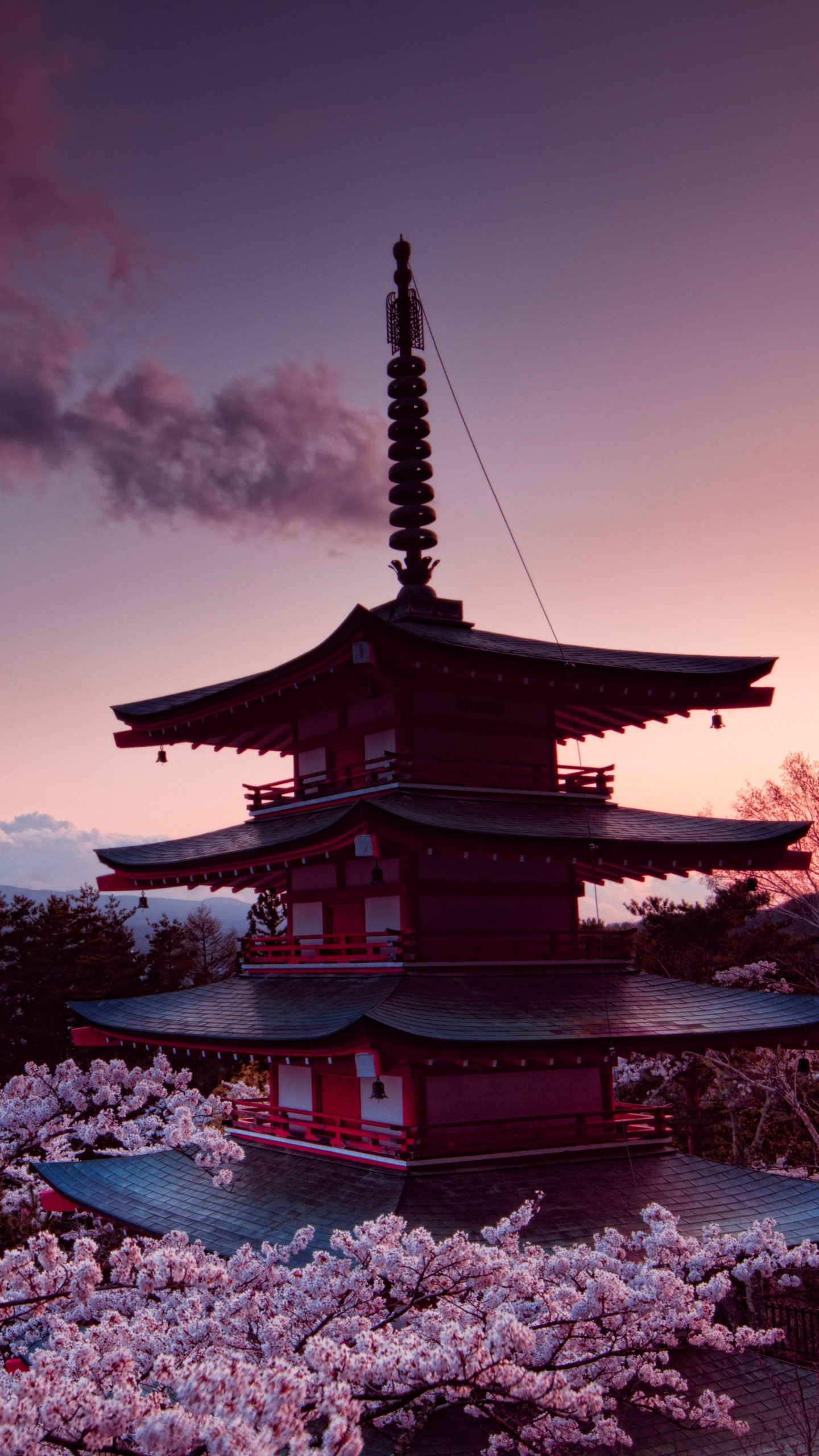 Обои гора Фудзи, вулкан, цветение вишни, цветок, облако в разрешении 1440x2560