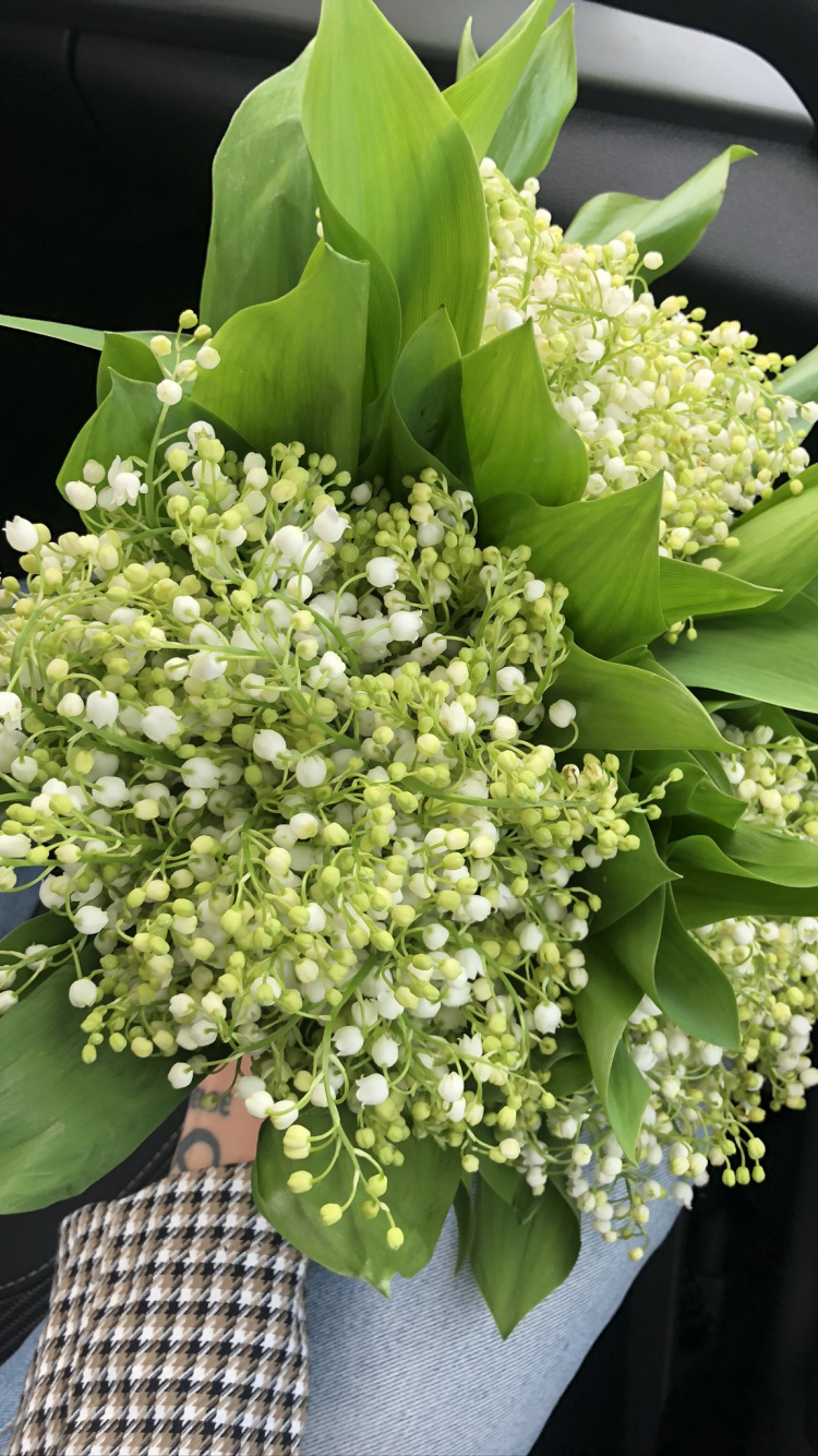 Обои цветочный букет, цветочный дизайн, цветок, цветковое растение, букет в разрешении 750x1334