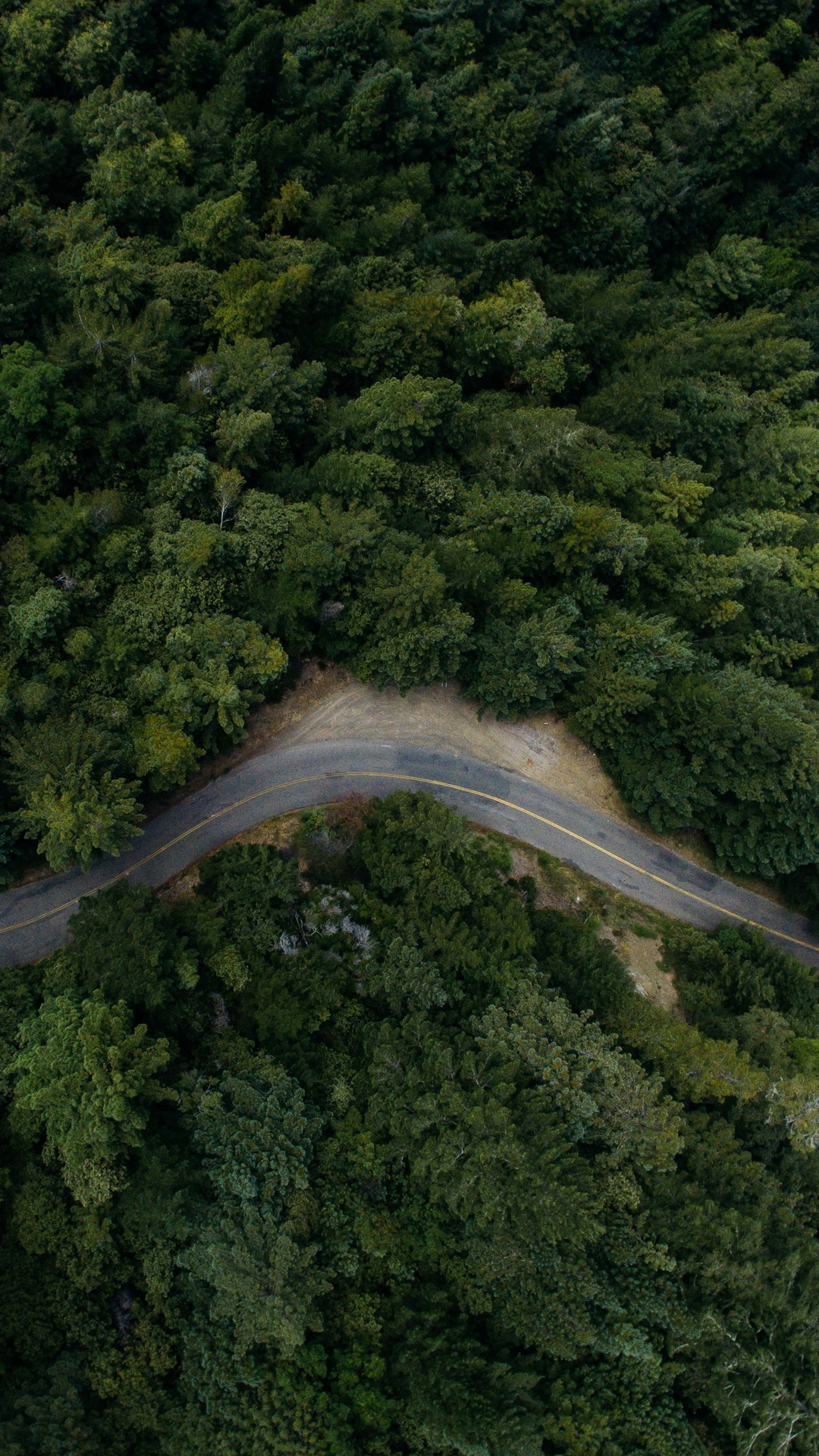 Обои что за хин, растение, природный ландшафт, водоток, дерево в разрешении 1080x1920