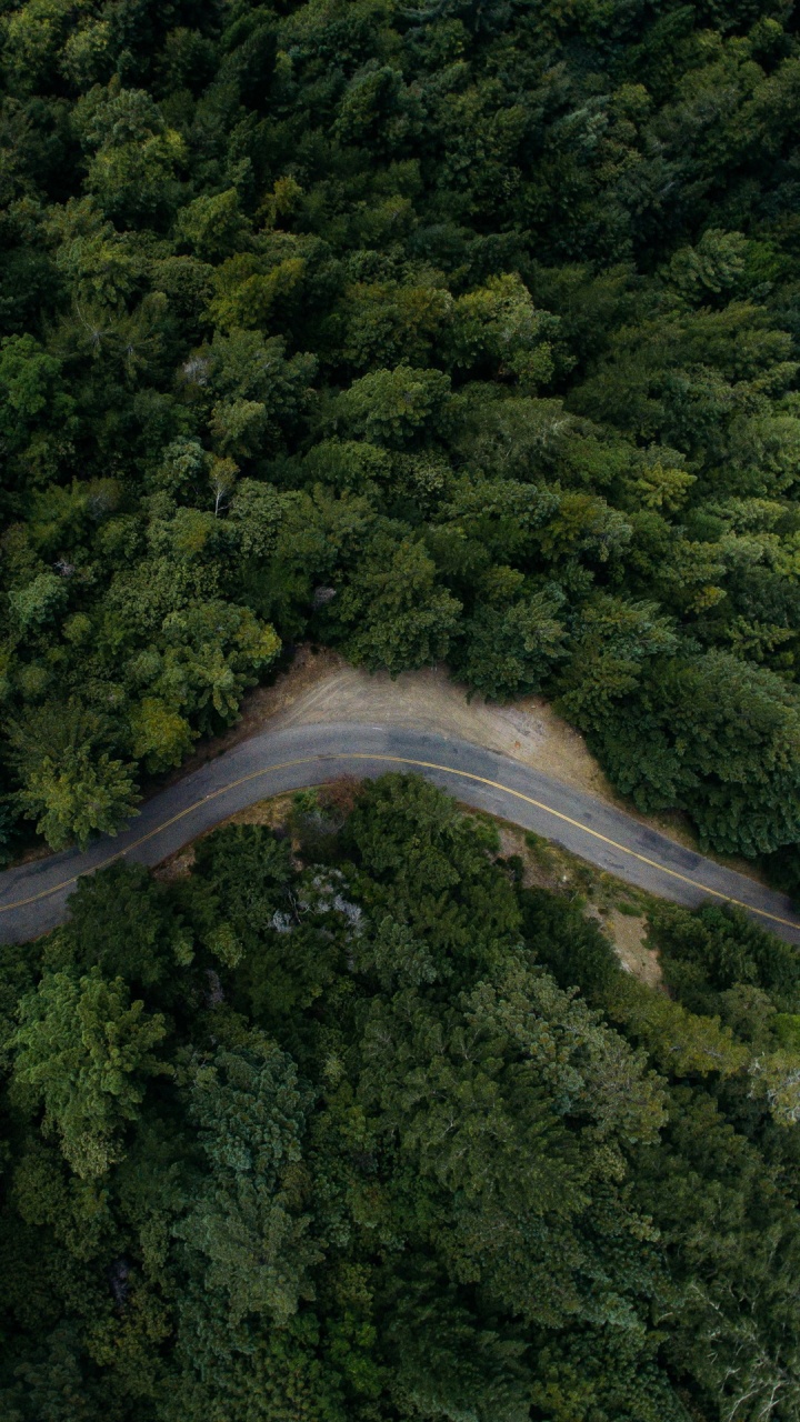 Обои что за хин, растение, природный ландшафт, водоток, дерево в разрешении 720x1280
