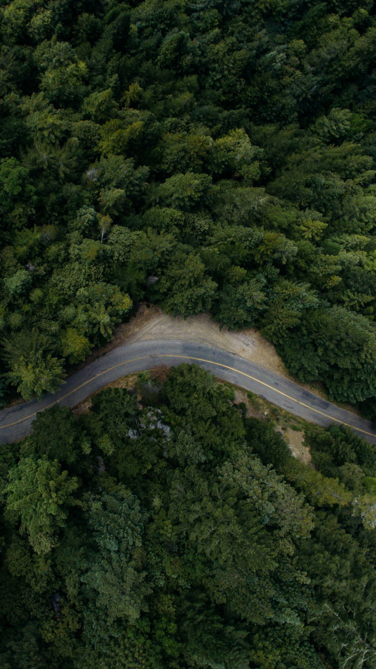 Обои что за хин, растение, природный ландшафт, водоток, дерево в разрешении 750x1334