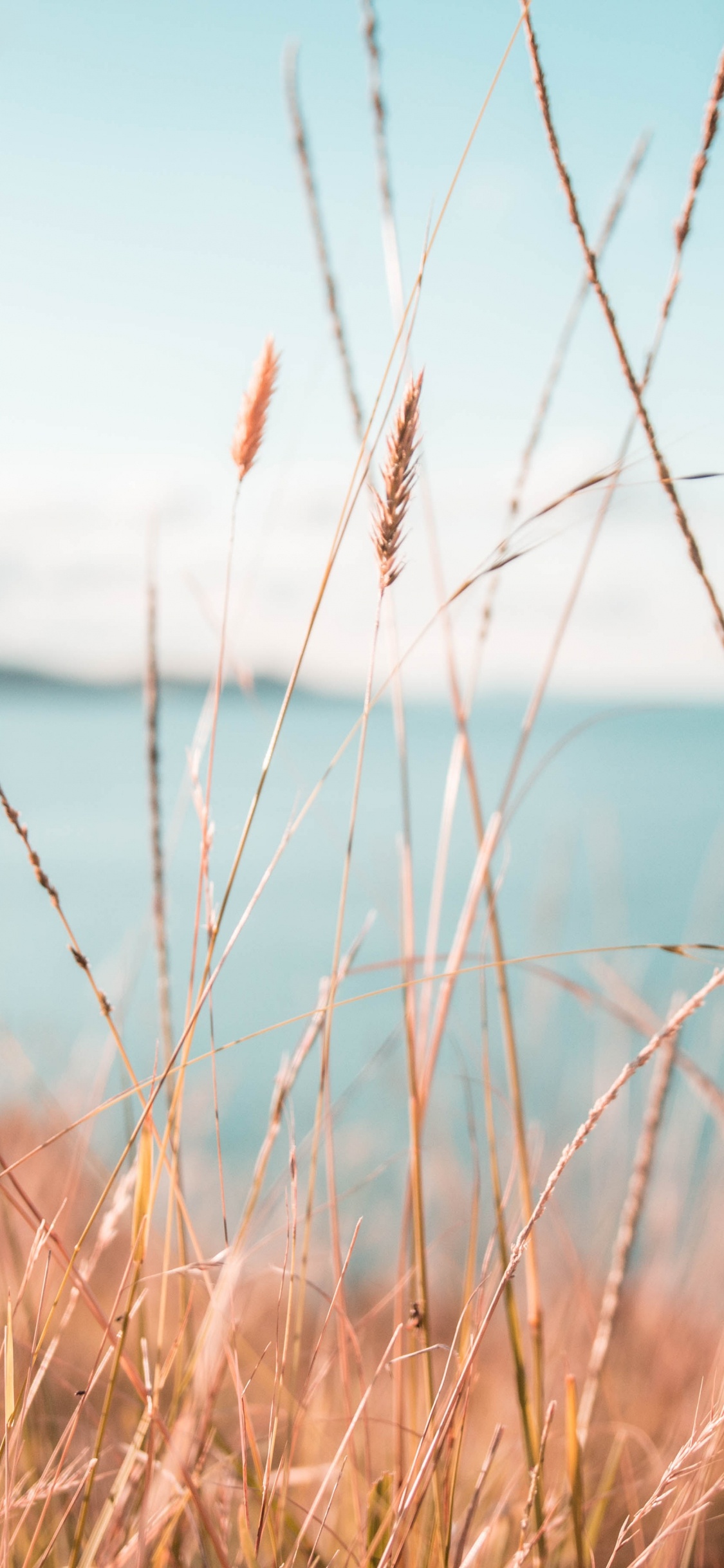 Обои вода, природа, природный ландшафт, синий, окружающая среда в разрешении 1125x2436