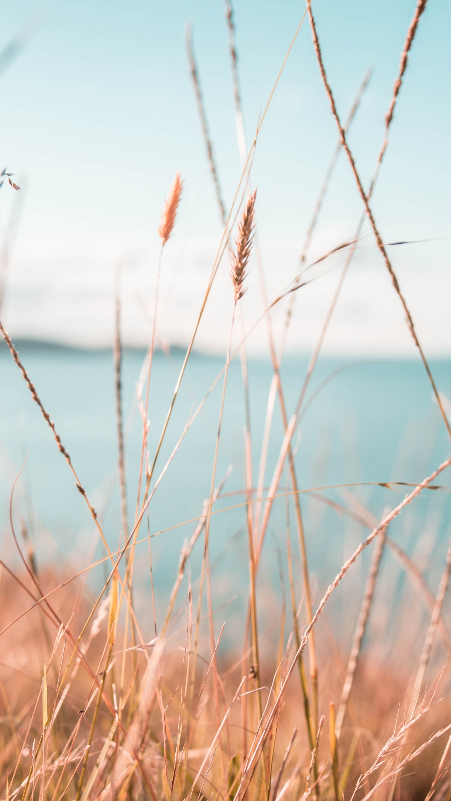 Обои вода, природа, природный ландшафт, синий, окружающая среда в разрешении 1440x2560