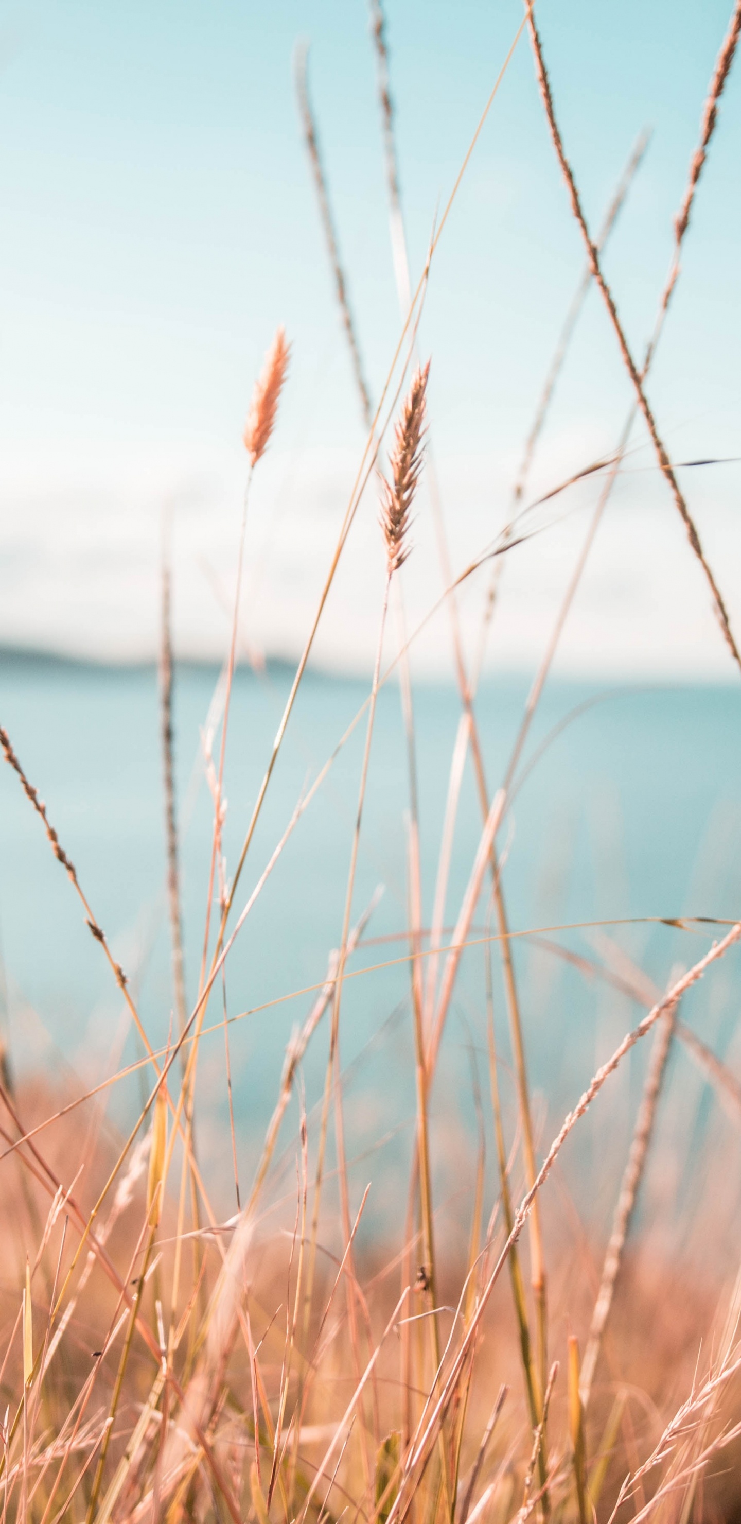 Обои вода, природа, природный ландшафт, синий, окружающая среда в разрешении 1440x2960